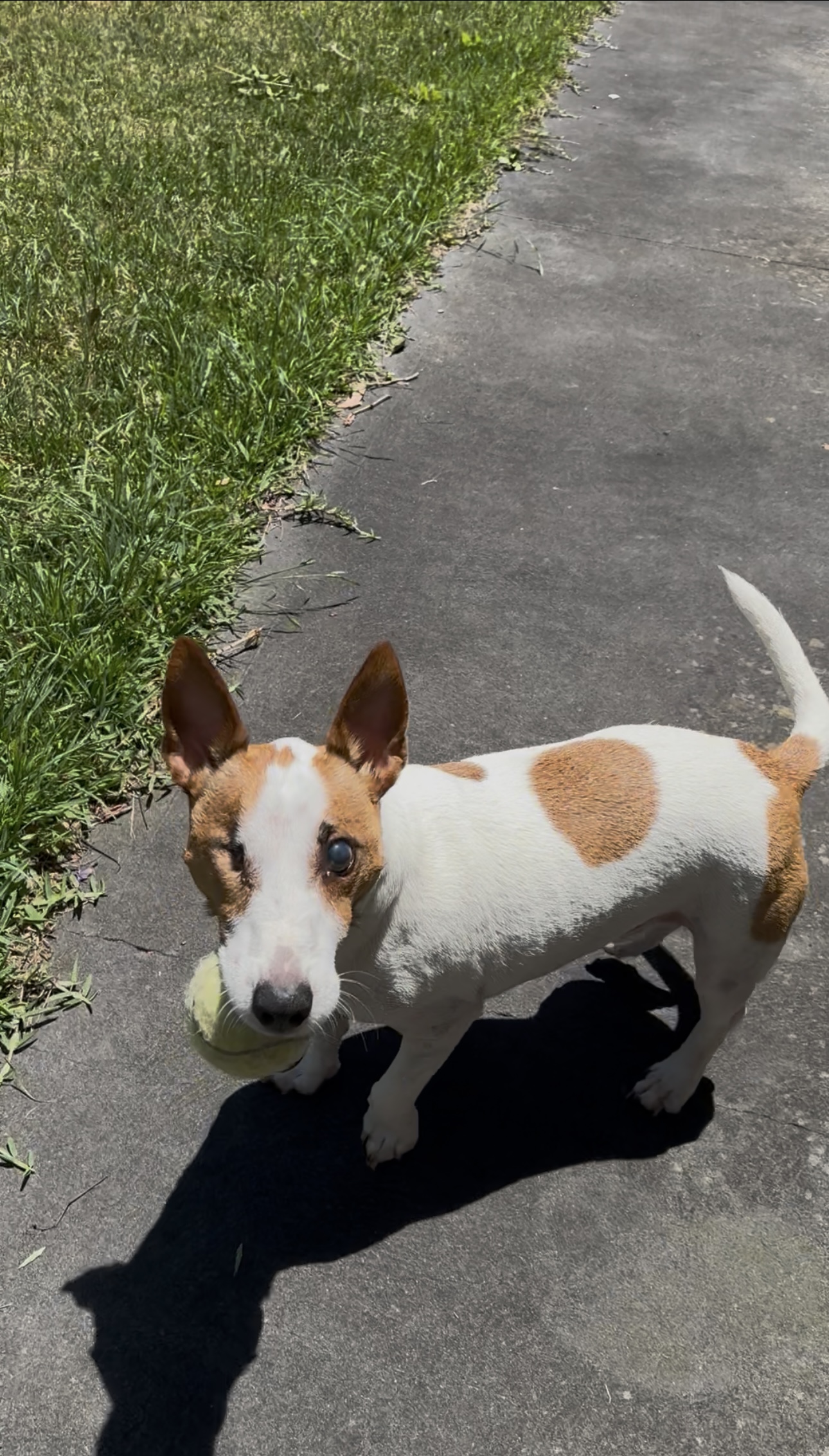 image-6