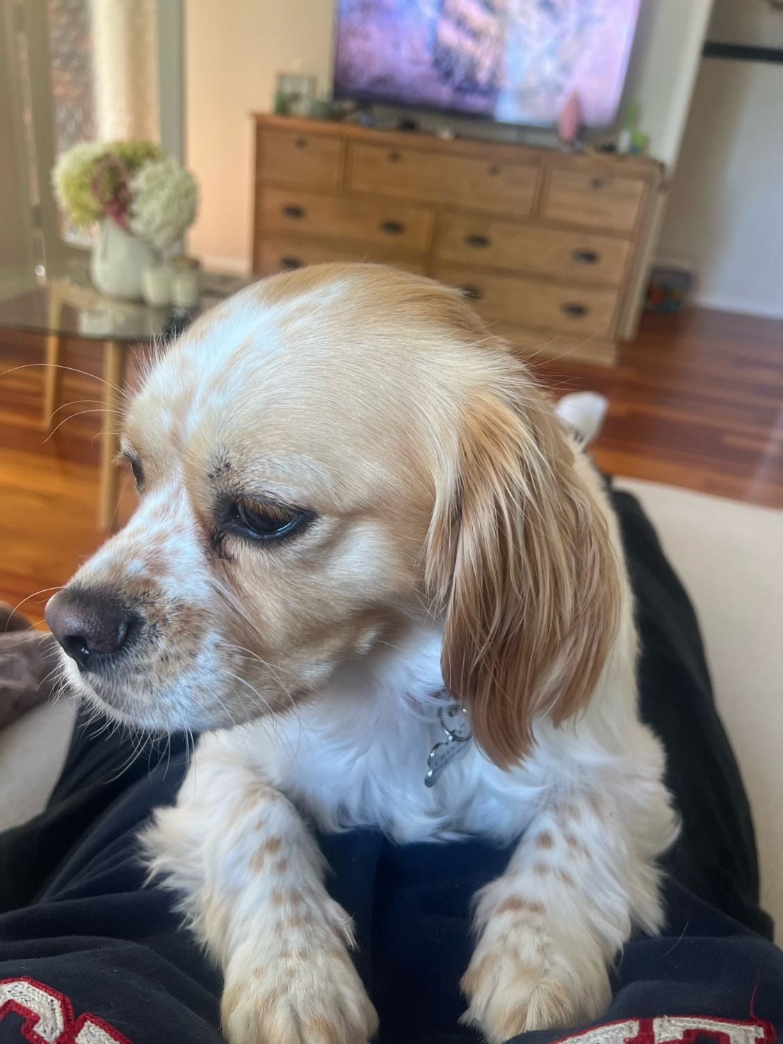 image-17