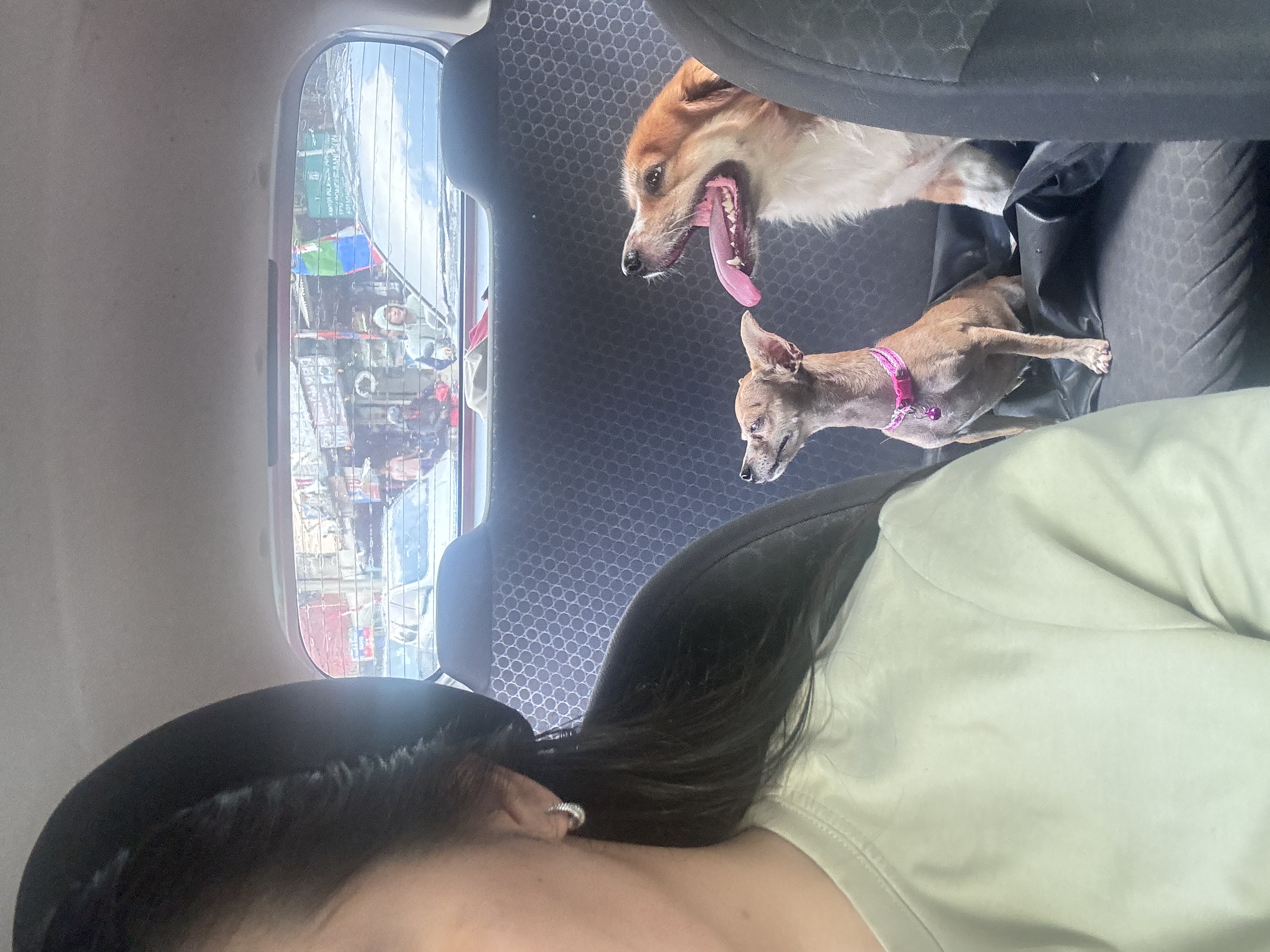 image-7