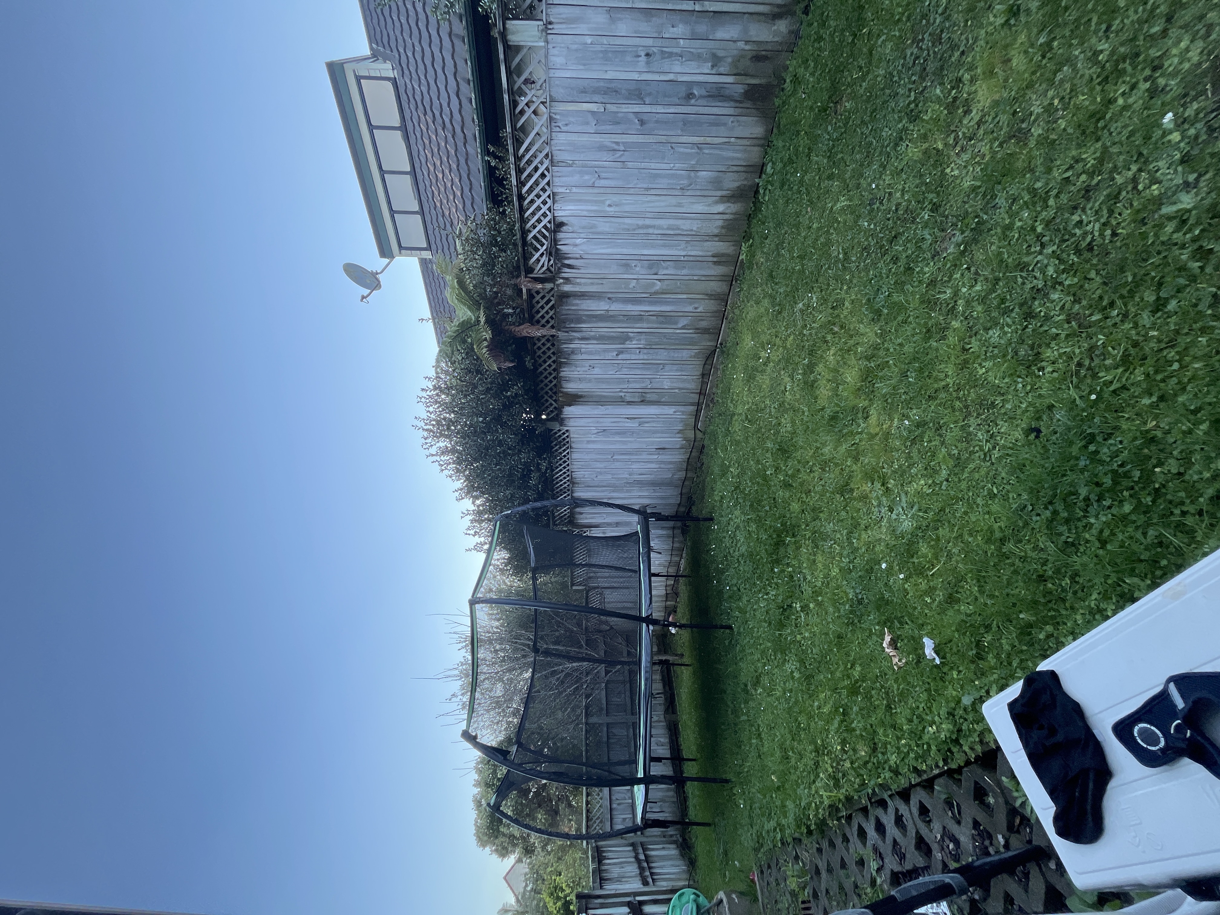 image-14
