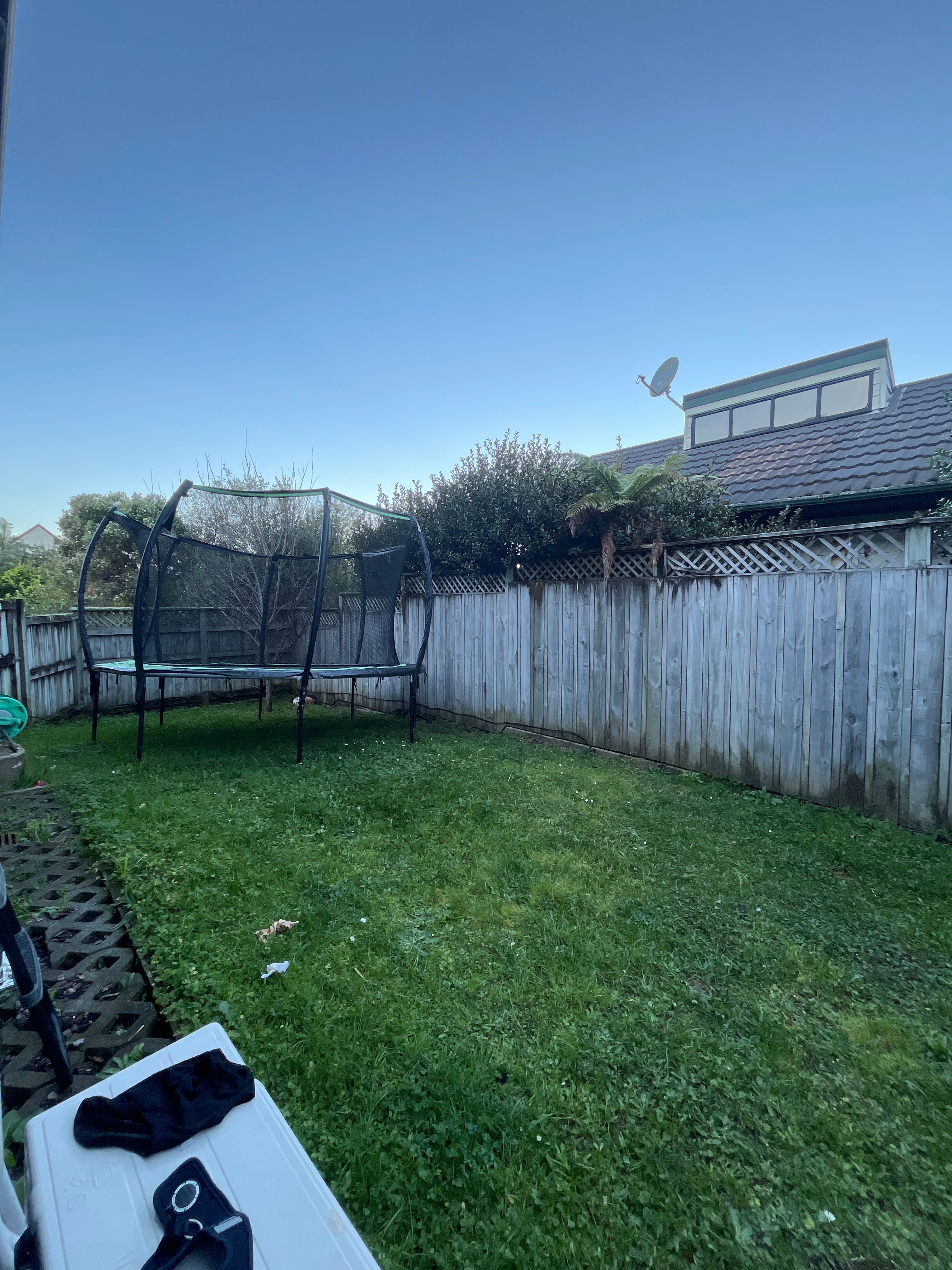 image-14