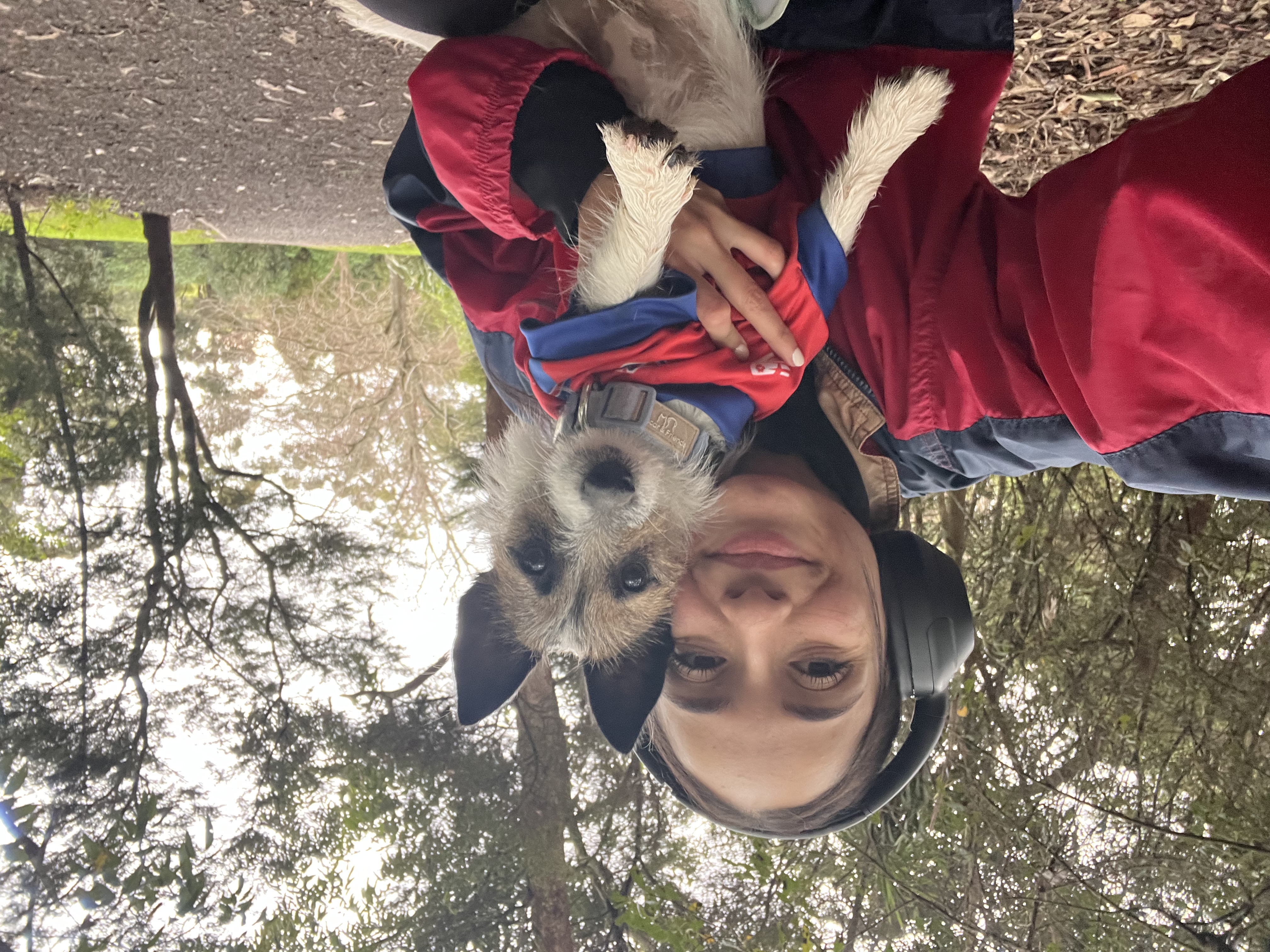image-0