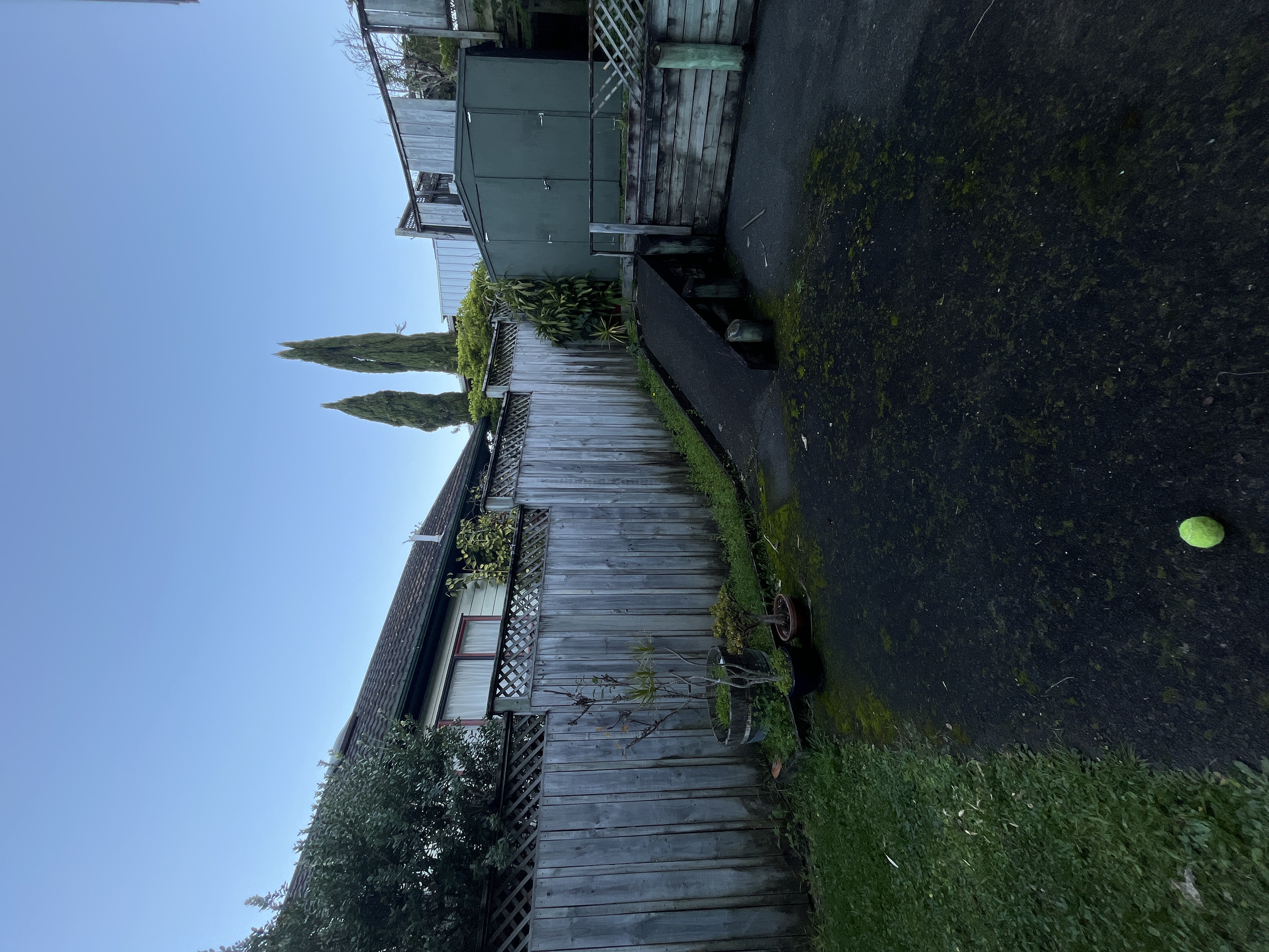 image-15