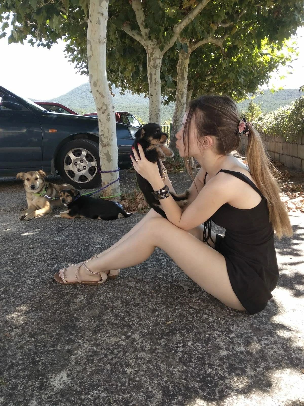 image-1