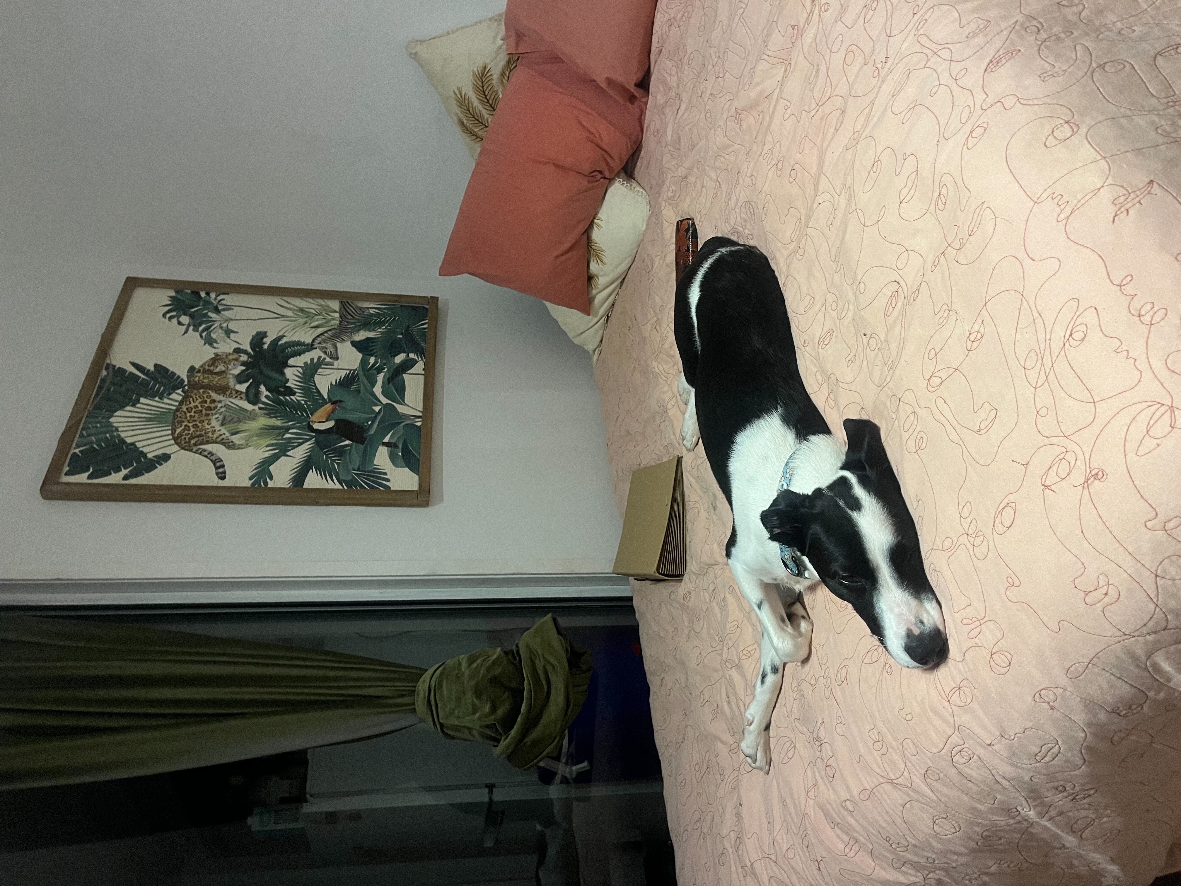 image-15