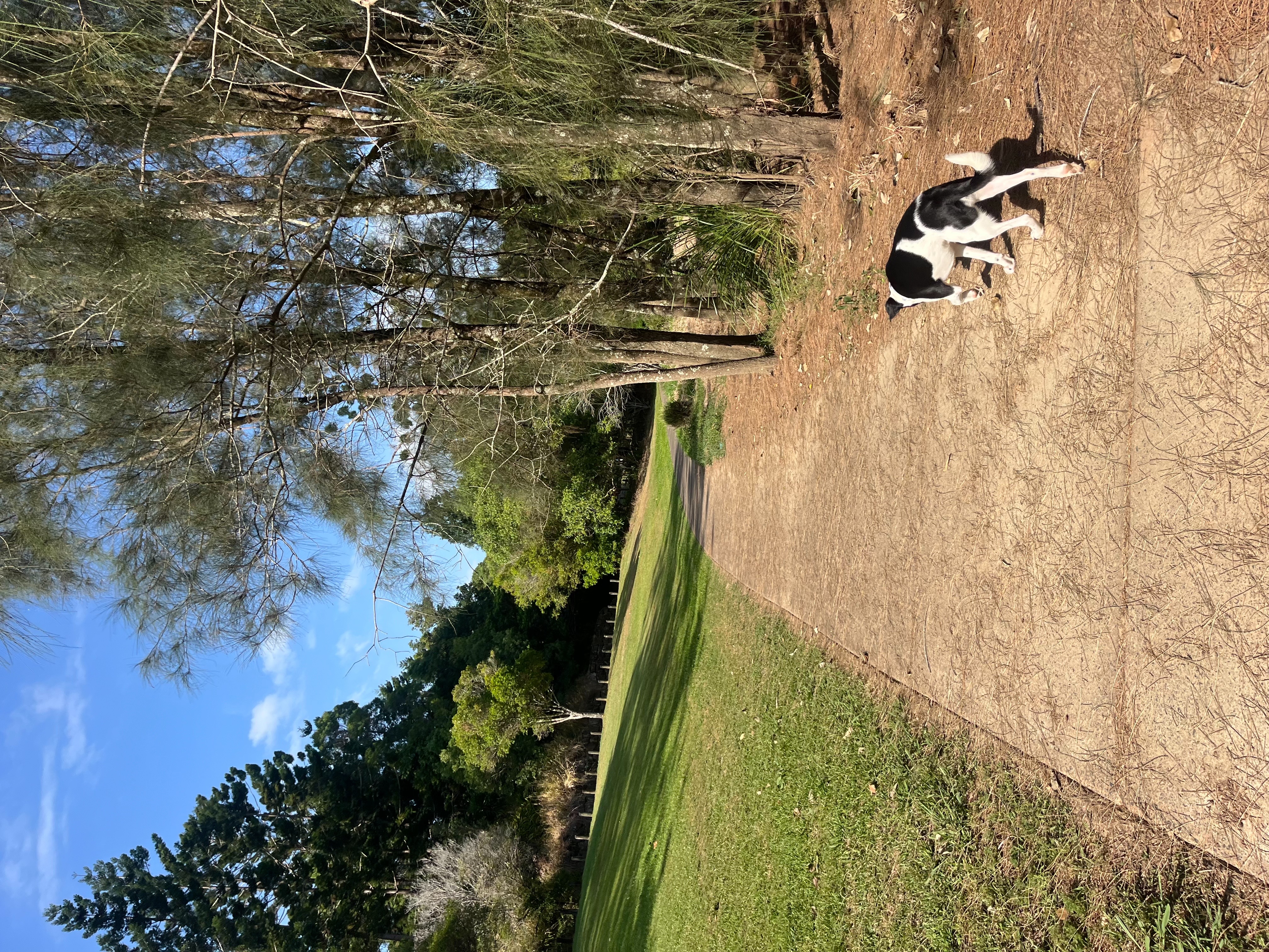 image-1