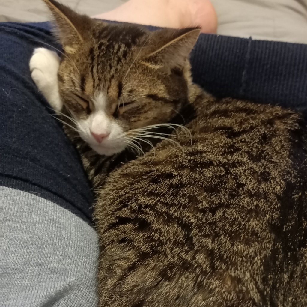 Missy 