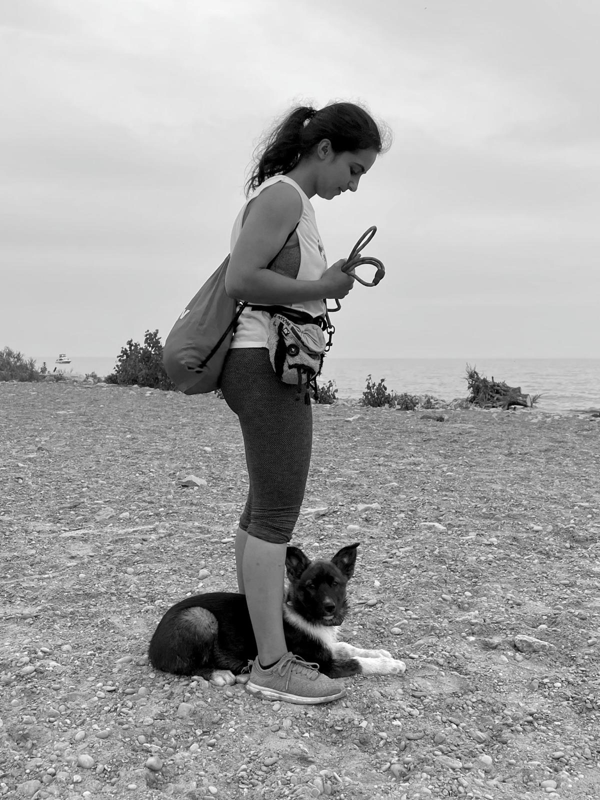 image-41