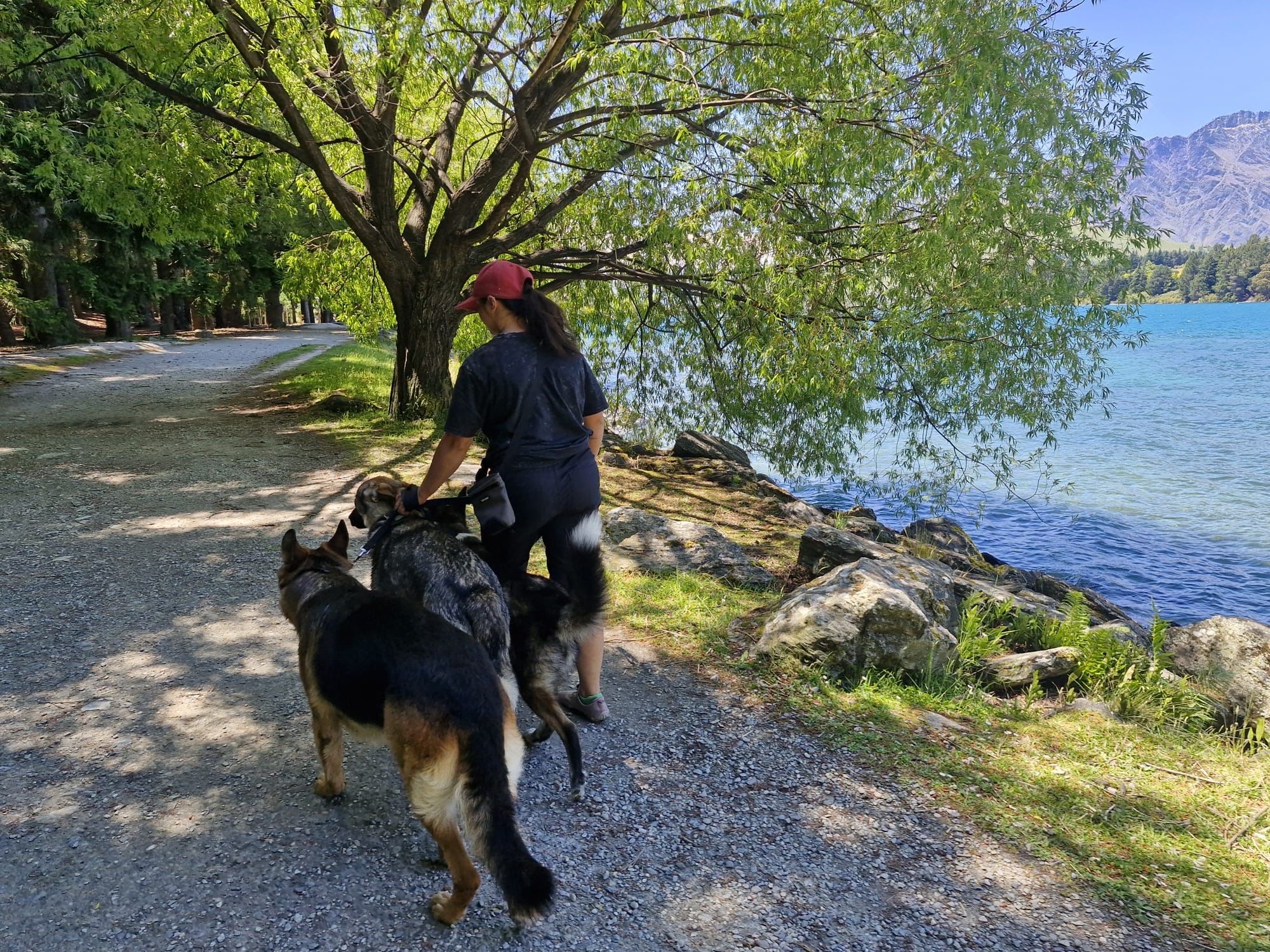 image-27