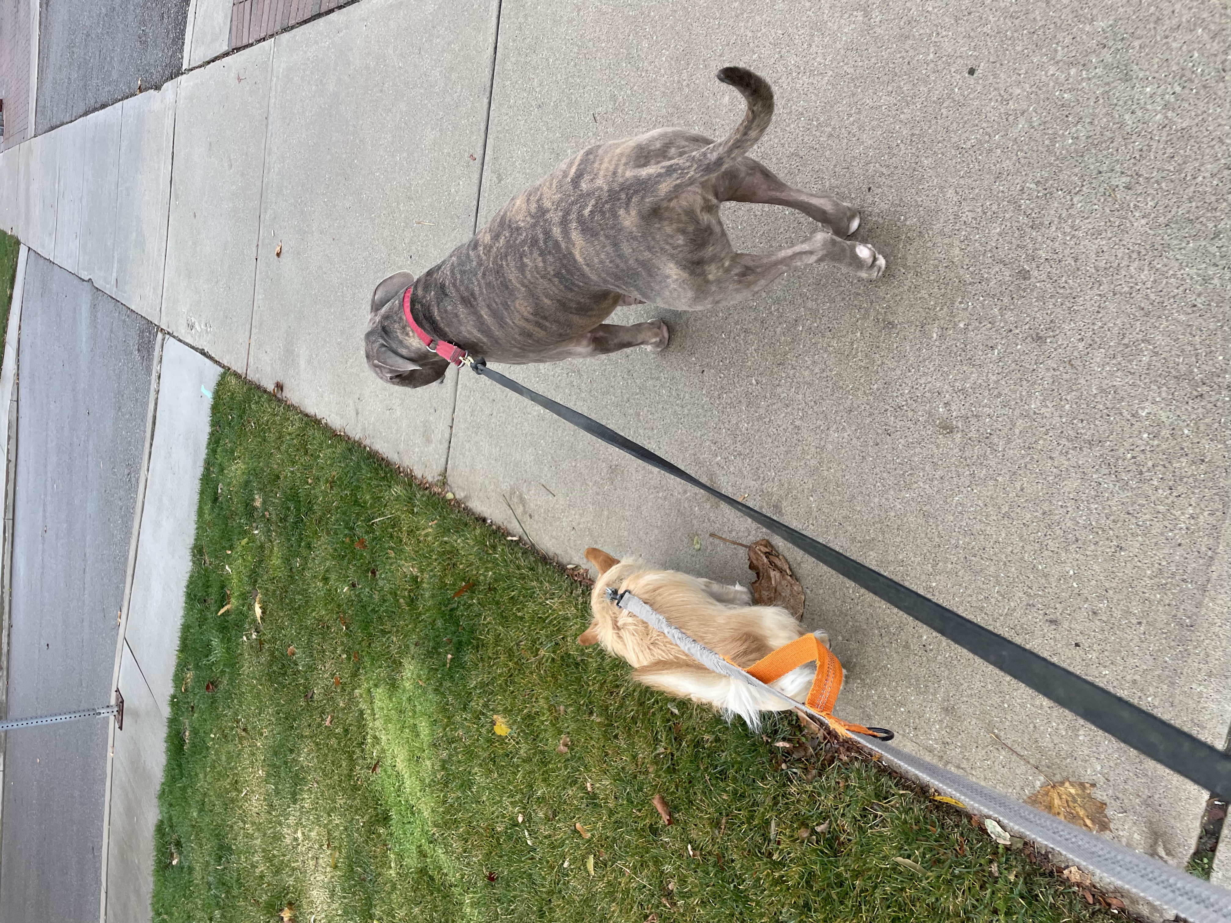 image-20