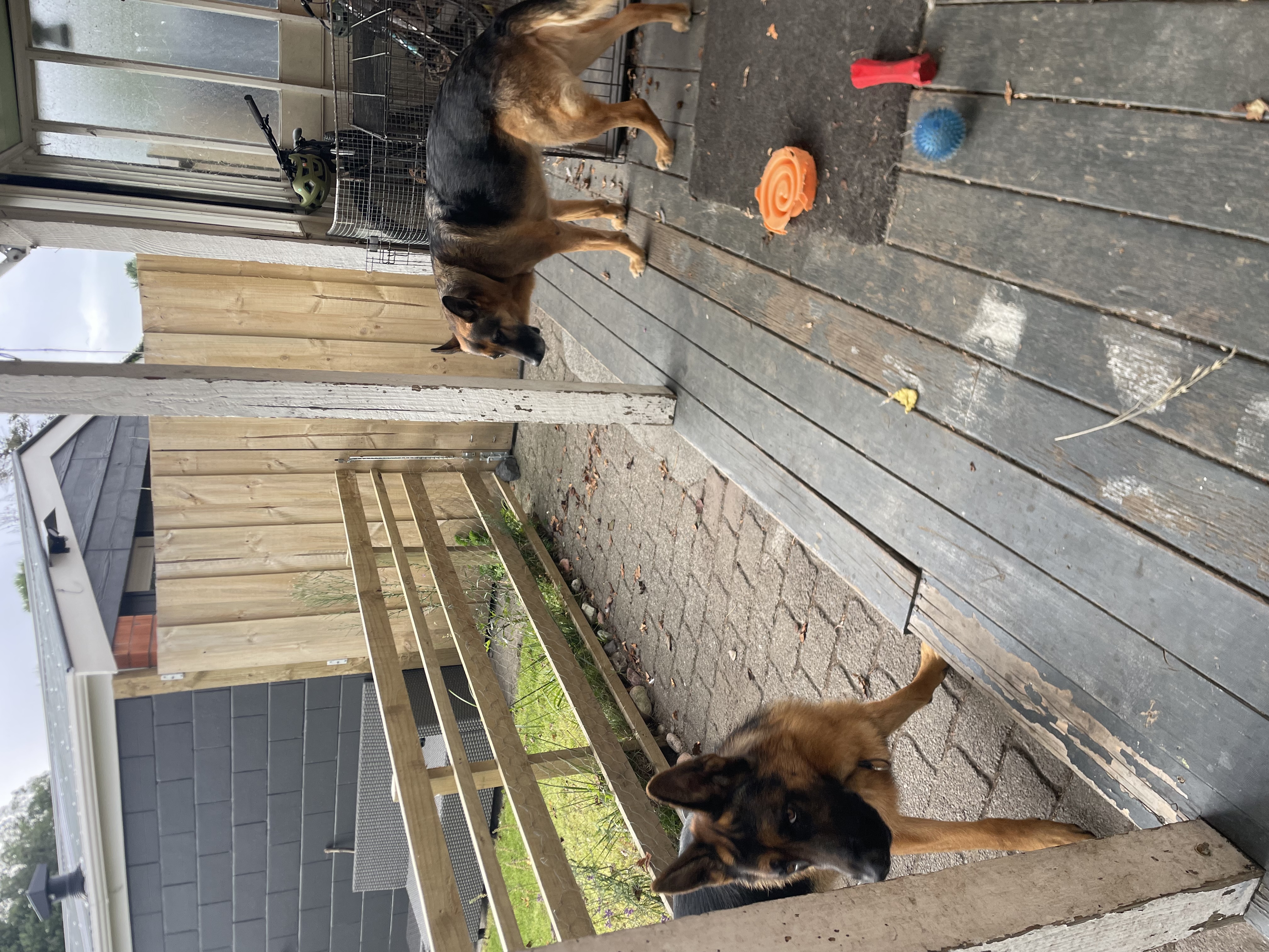 image-46