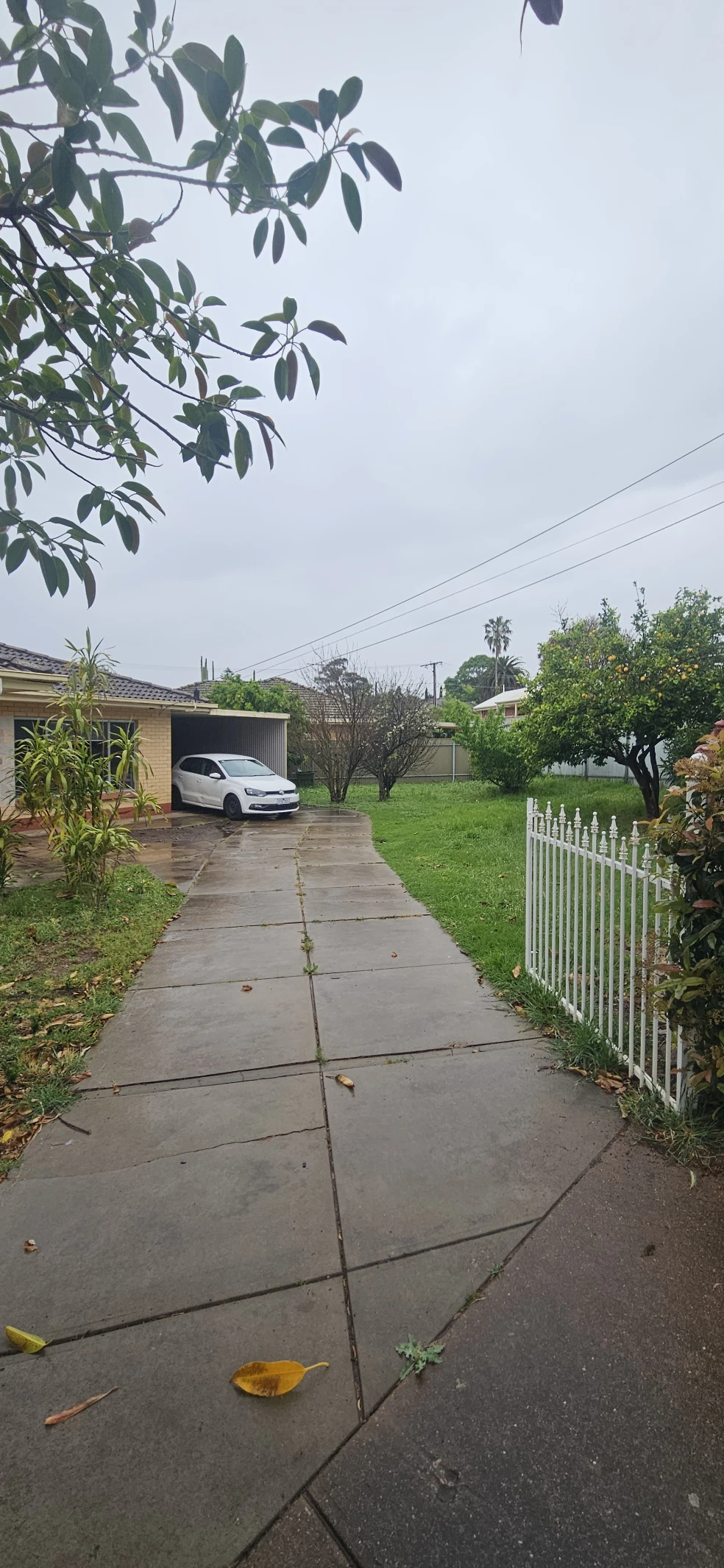 image-18