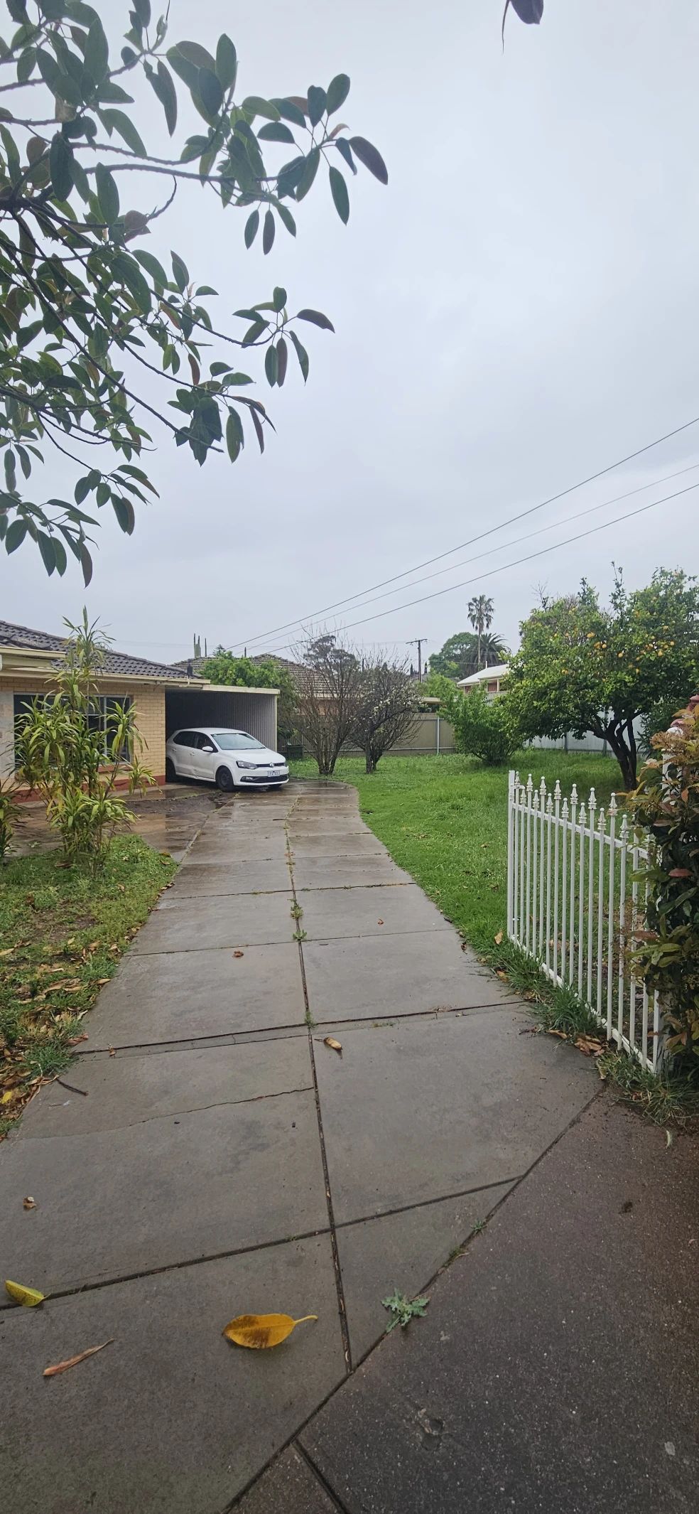 image-18