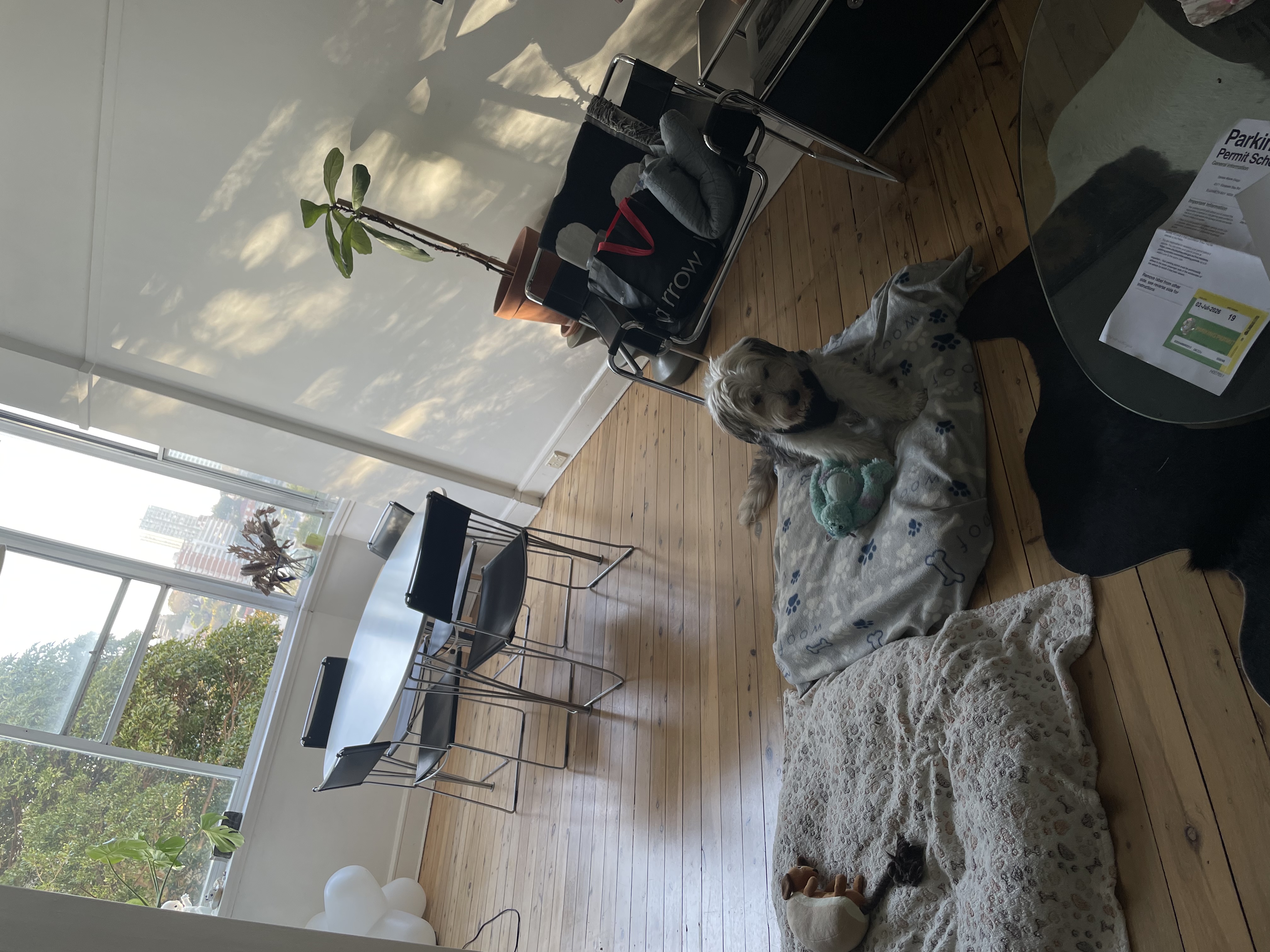 image-8