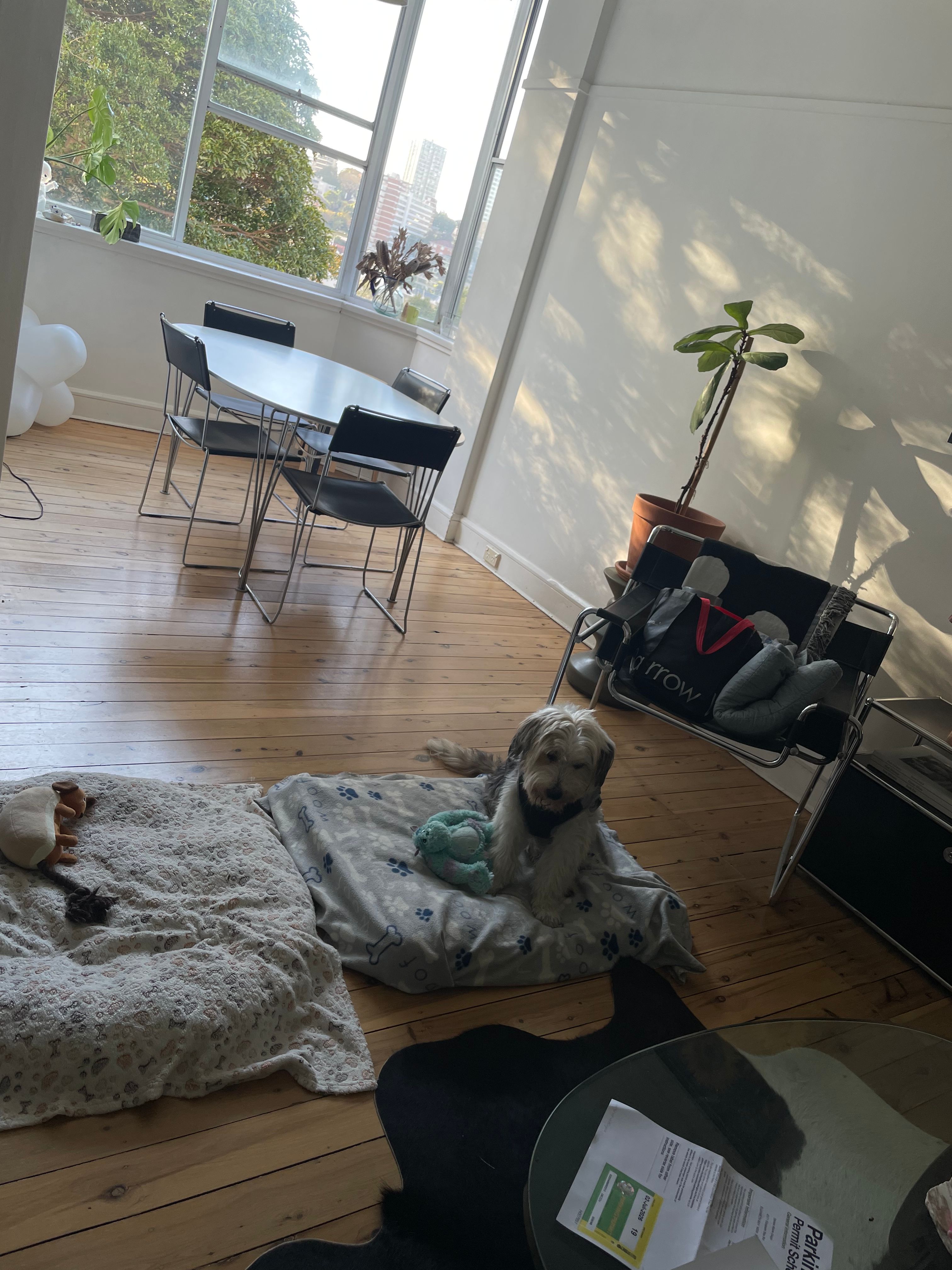 image-8