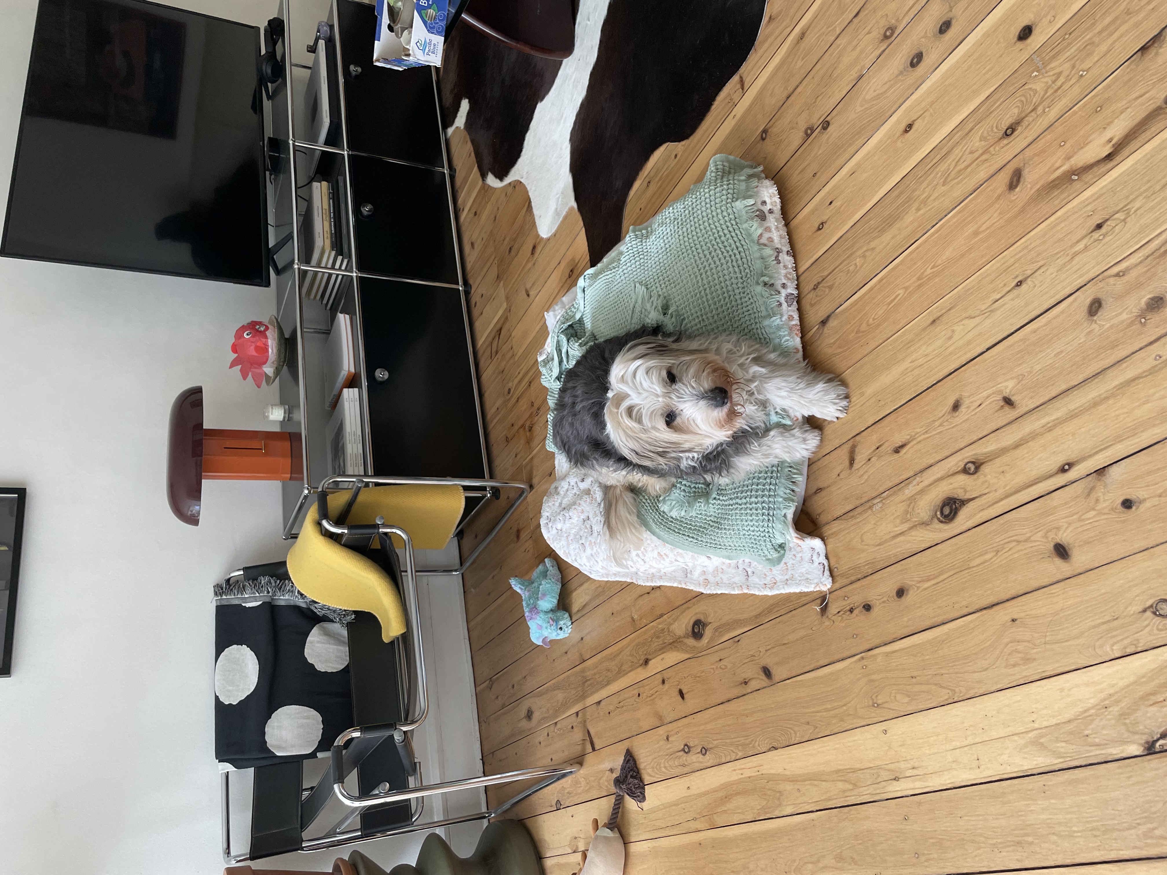 image-10