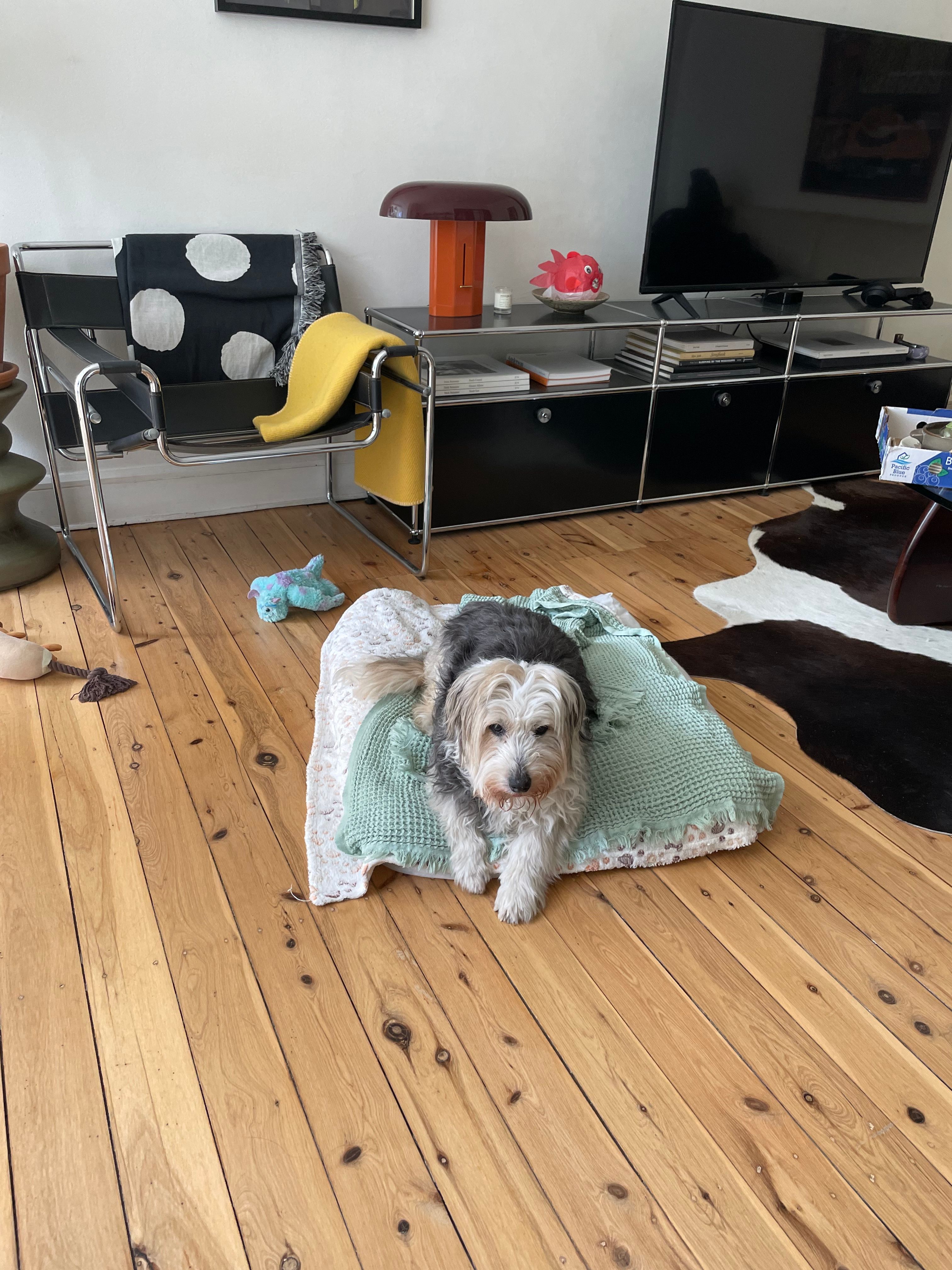 image-10