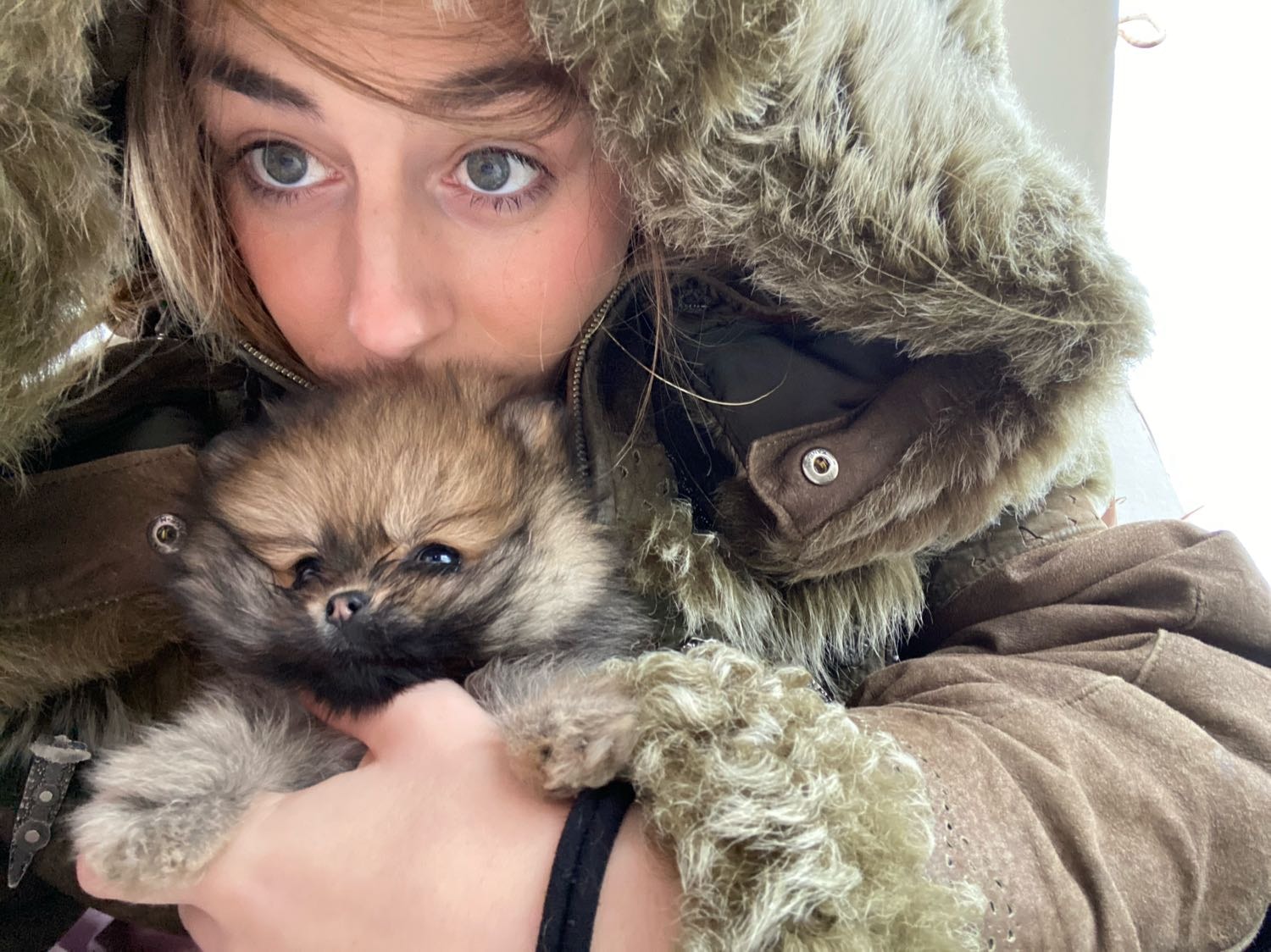 image-6