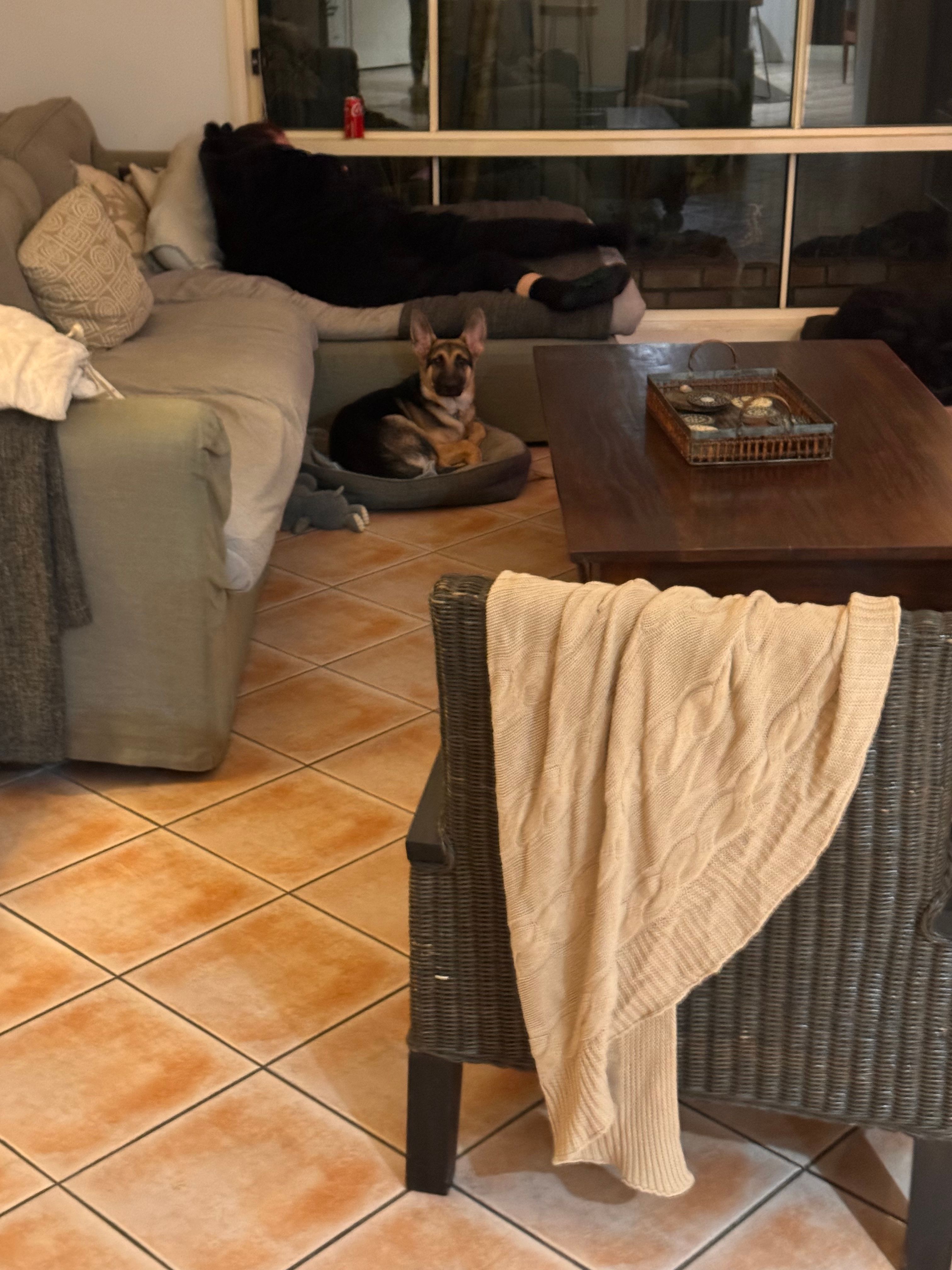 image-13