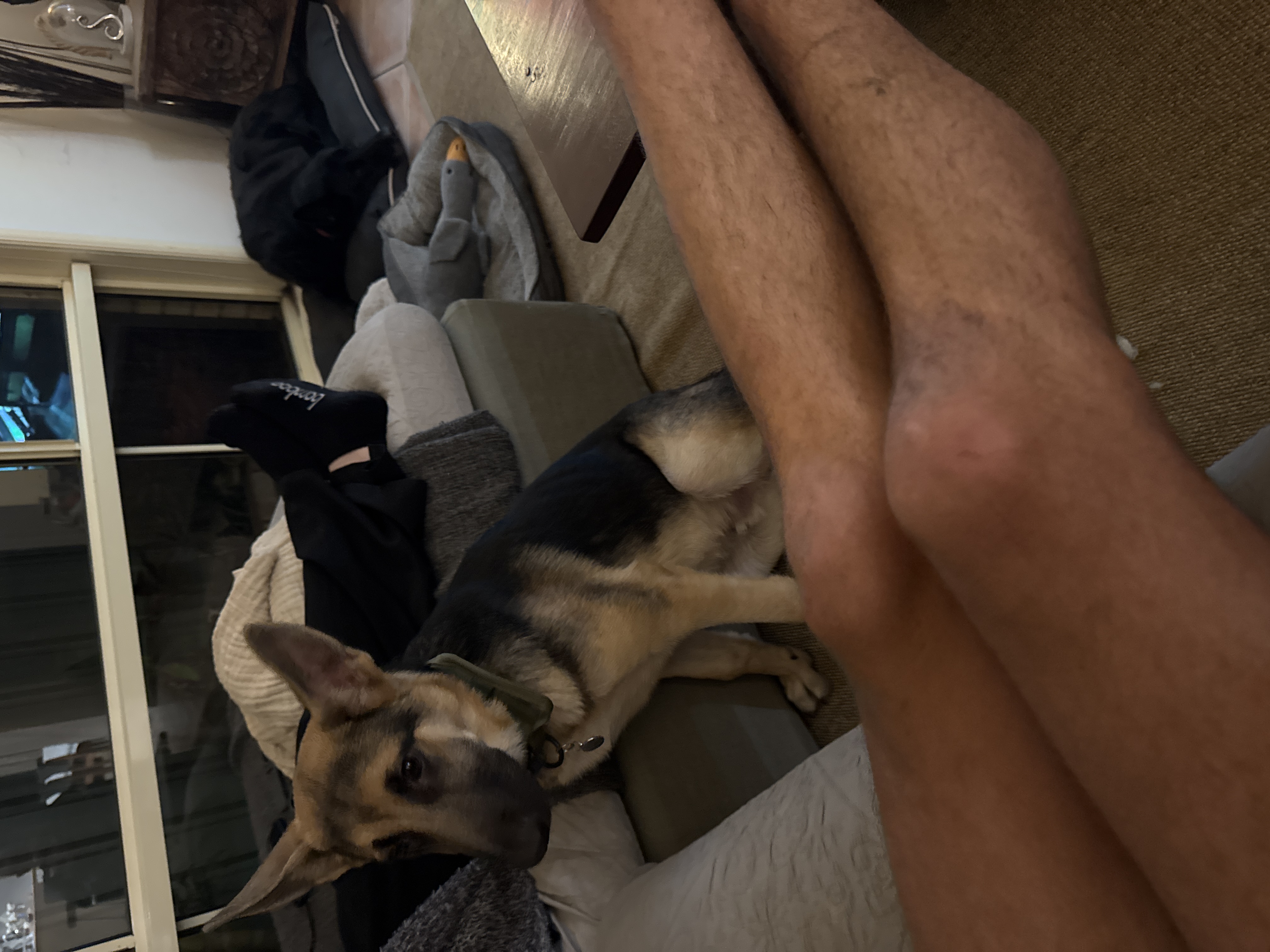 image-3
