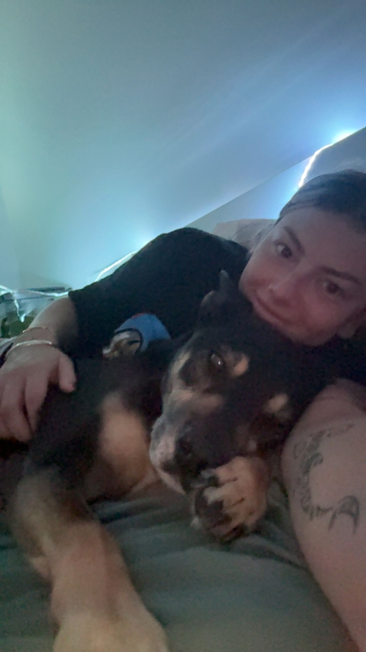 image-8