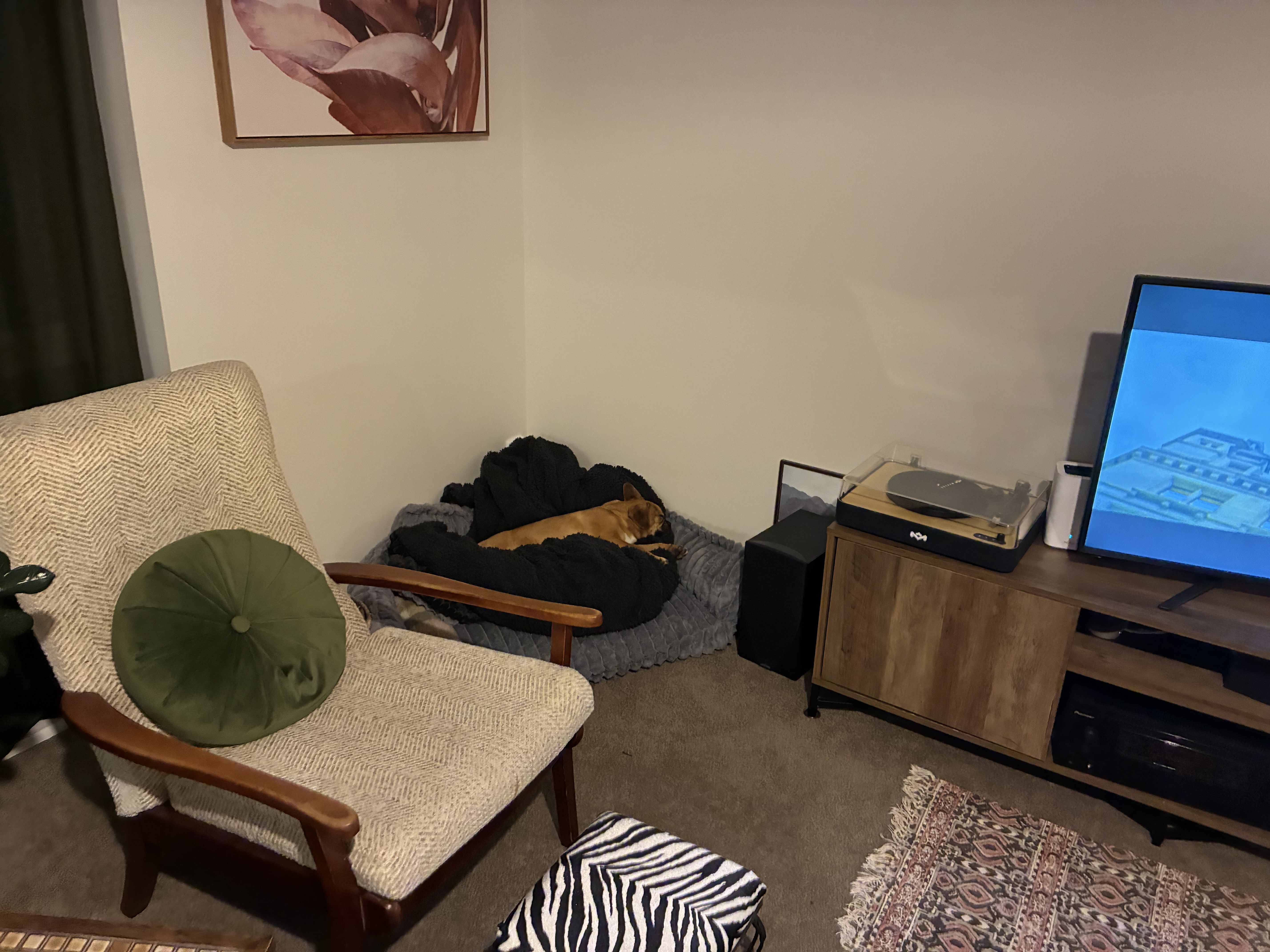 image-18