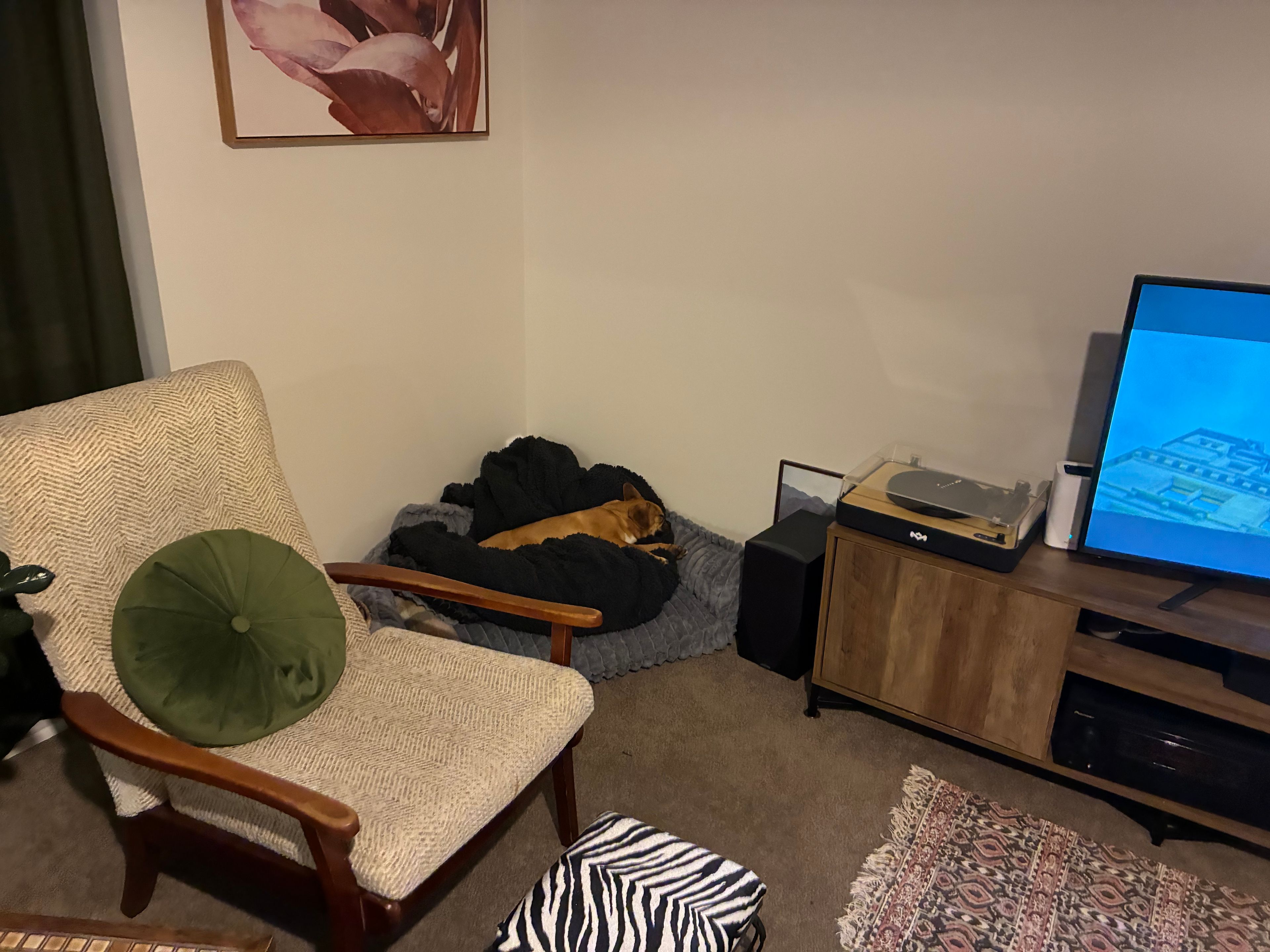 image-18
