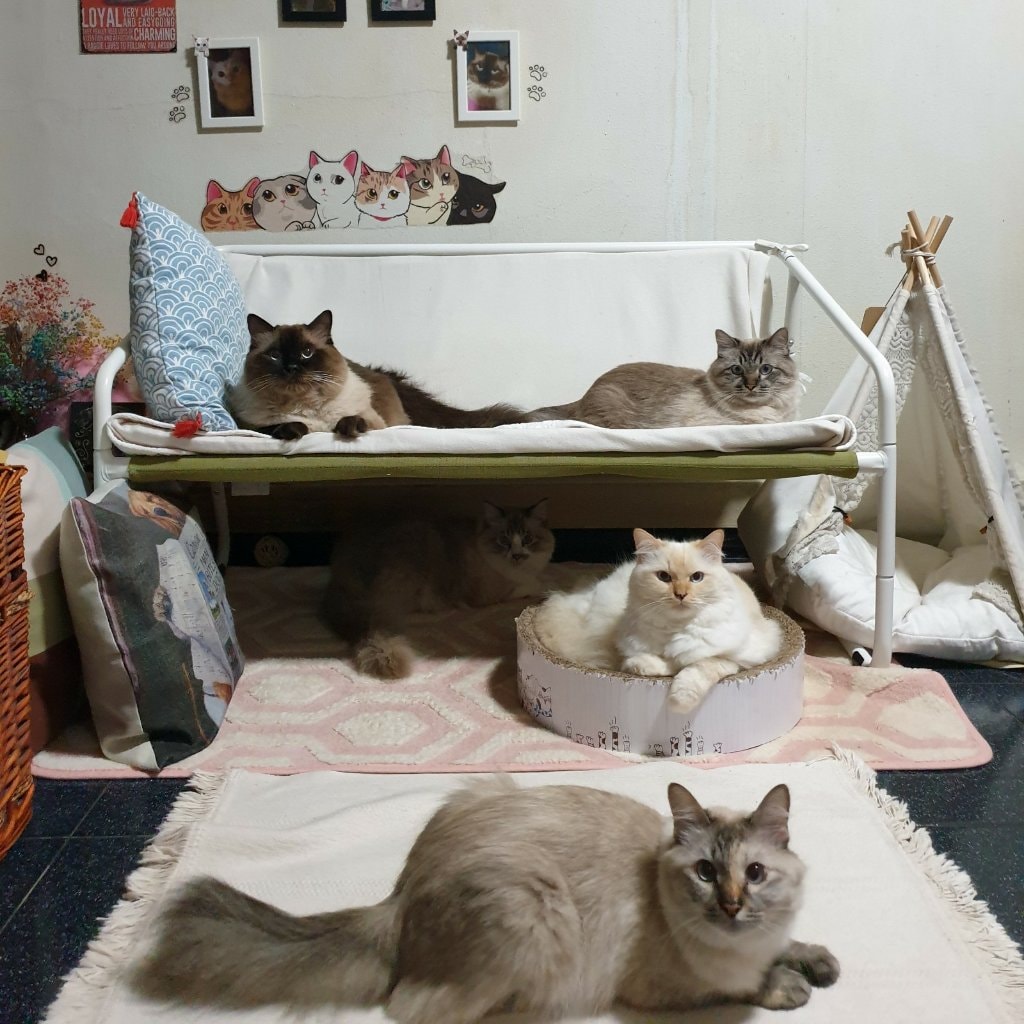 Princess Teddy Tigger and Max