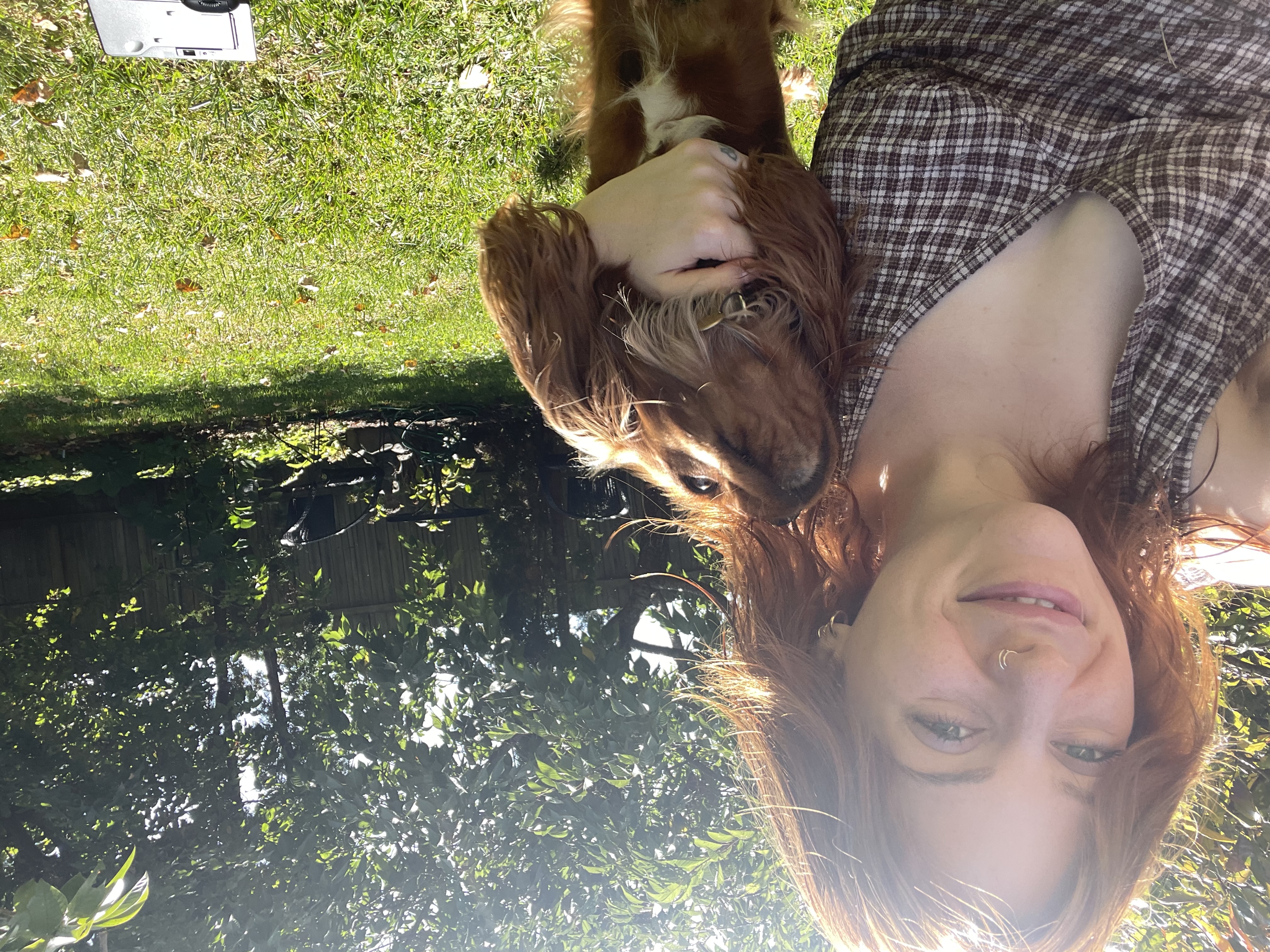image-6