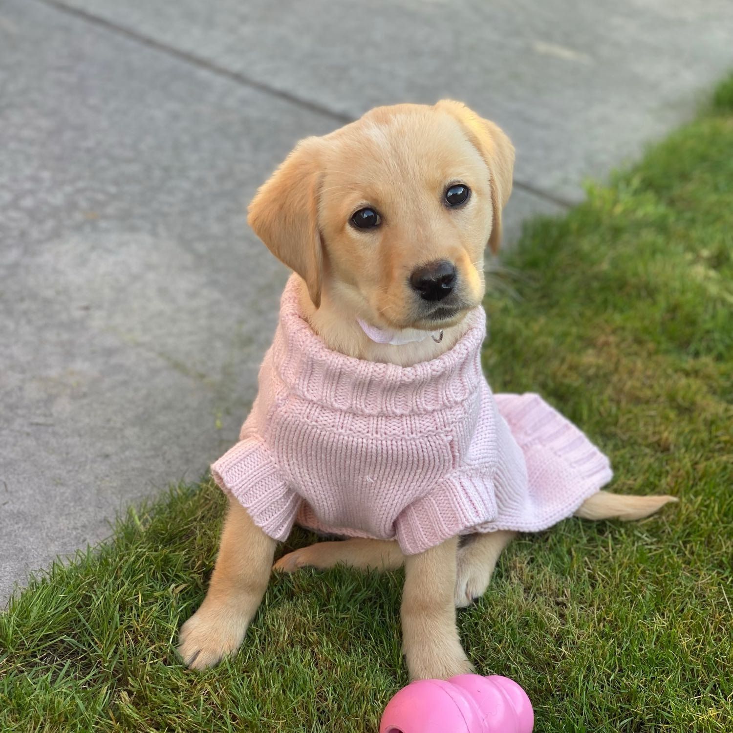 Indie