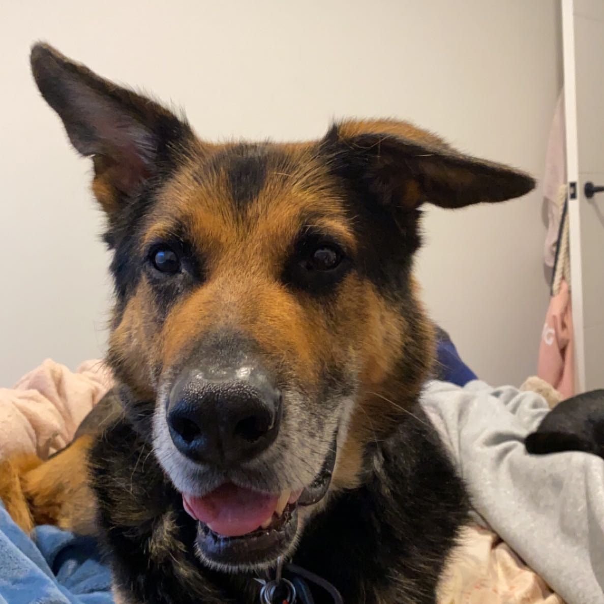 Tyson
