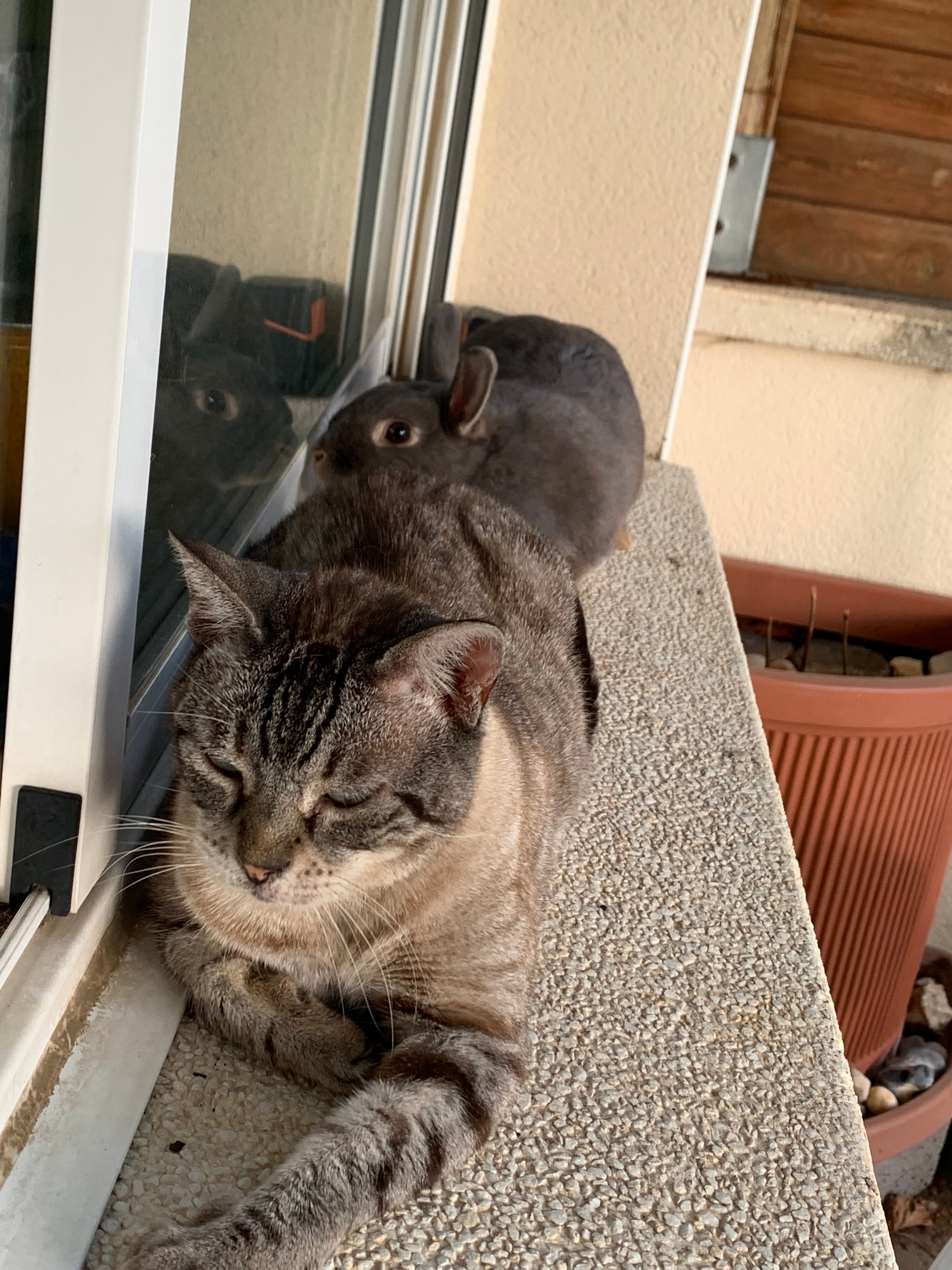 image-12