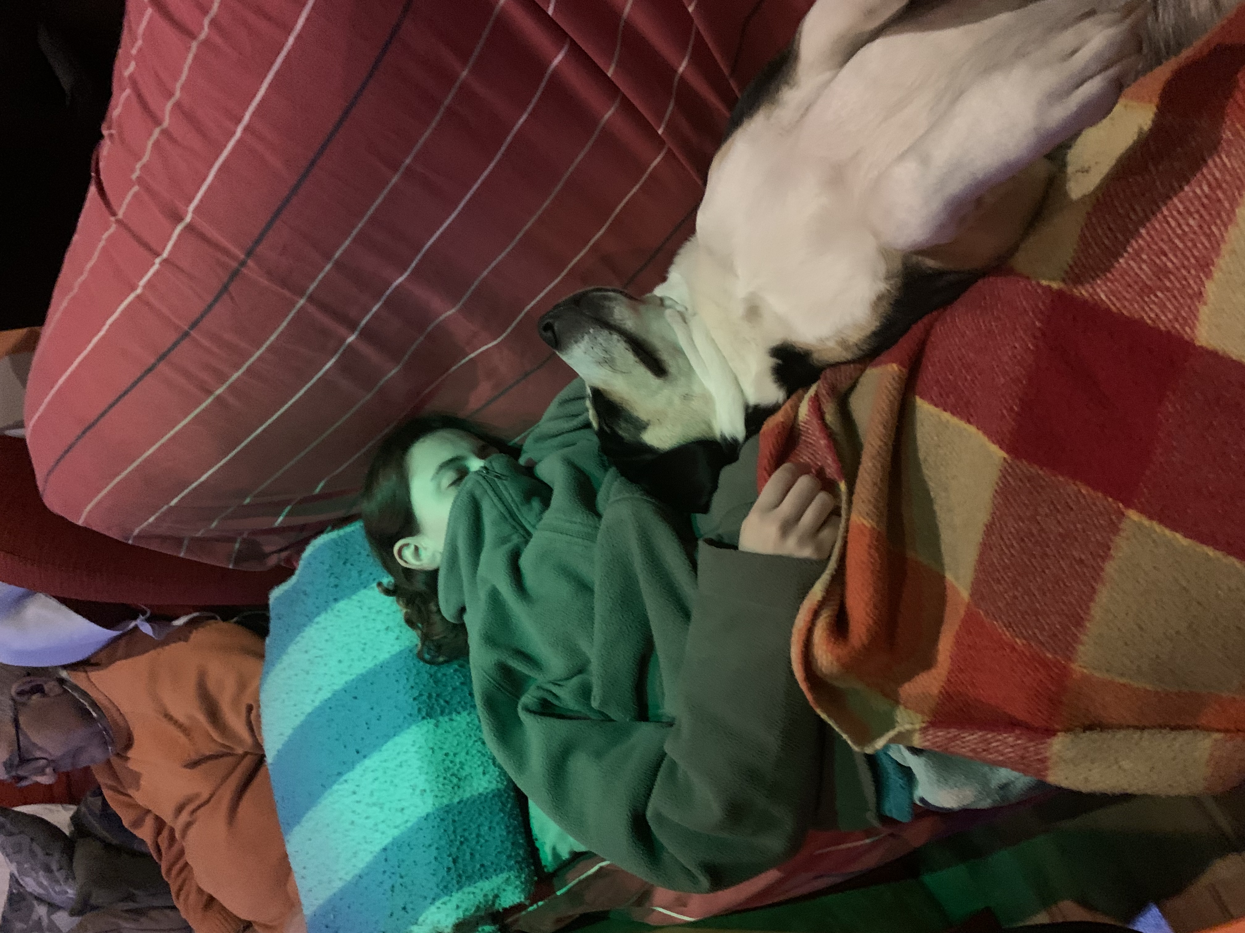 image-4