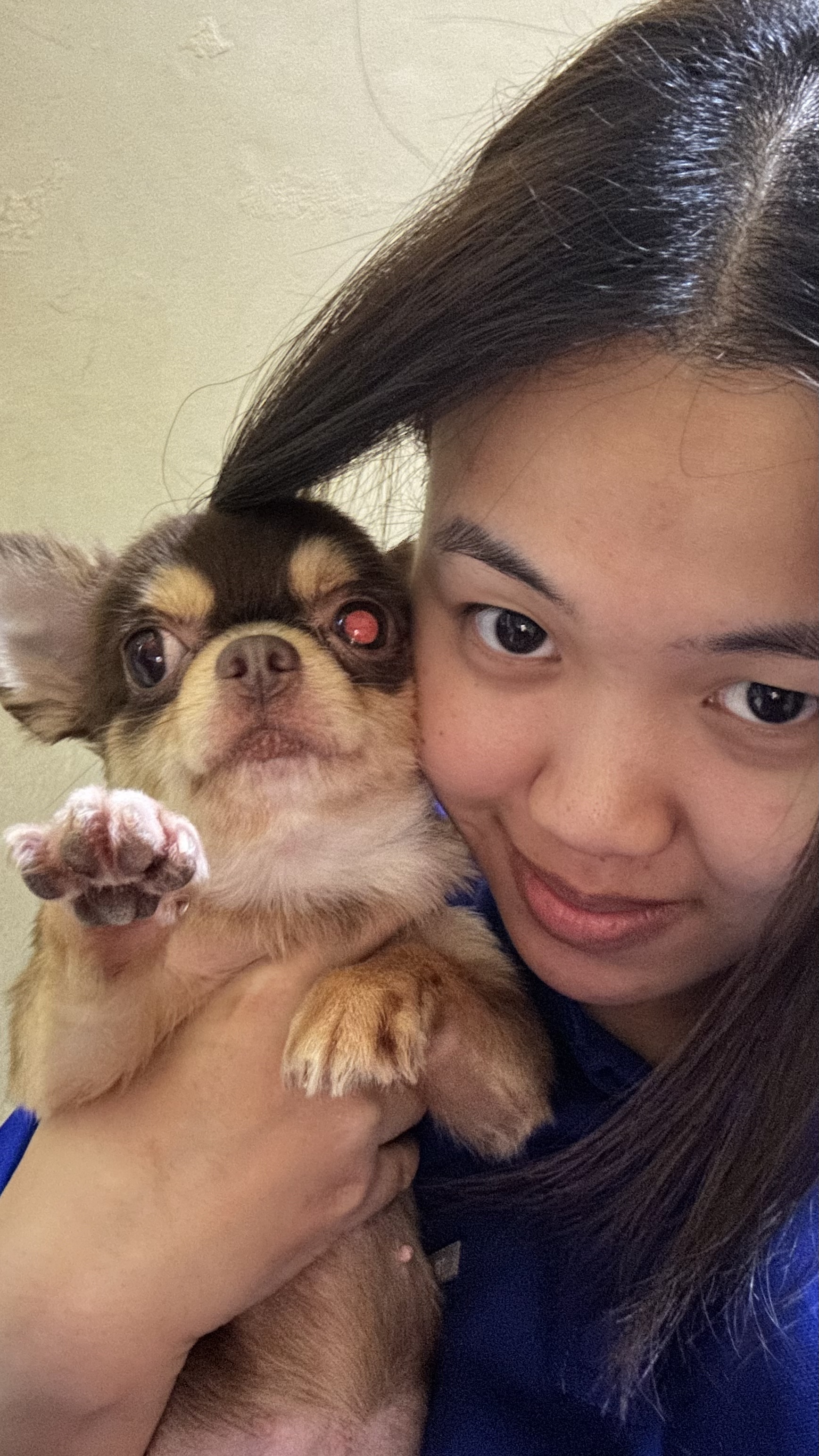 image-6