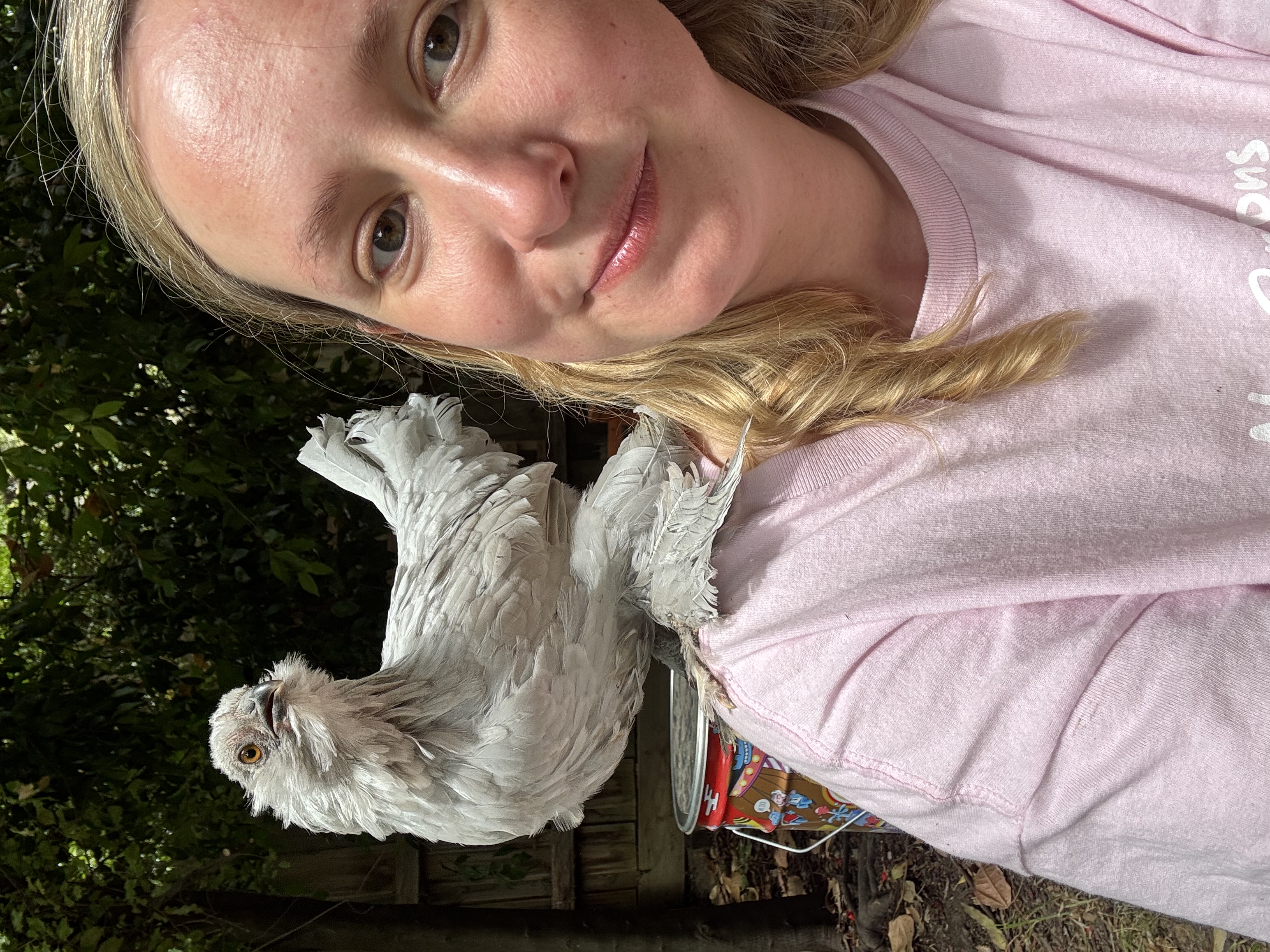 image-8