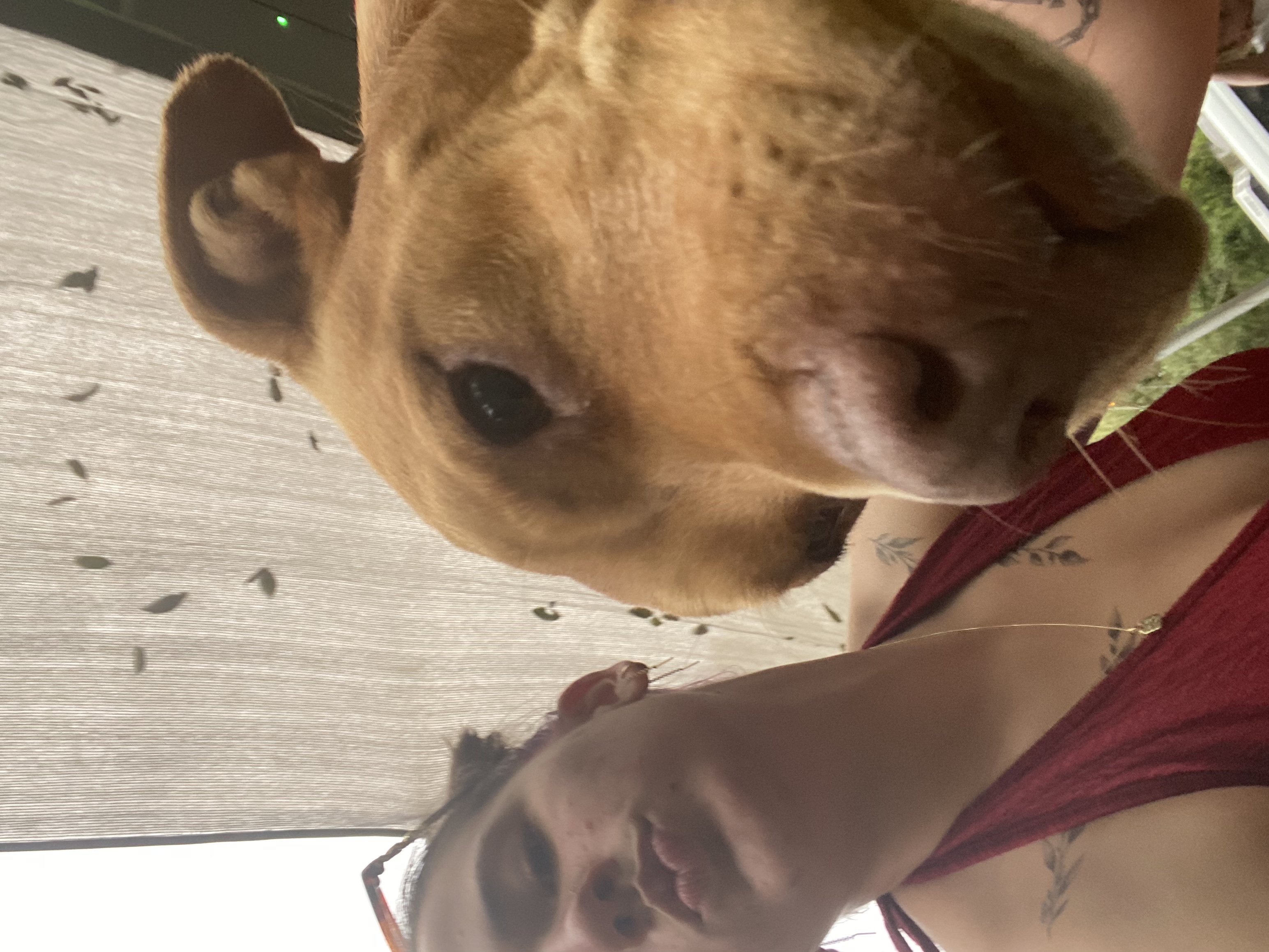 image-4