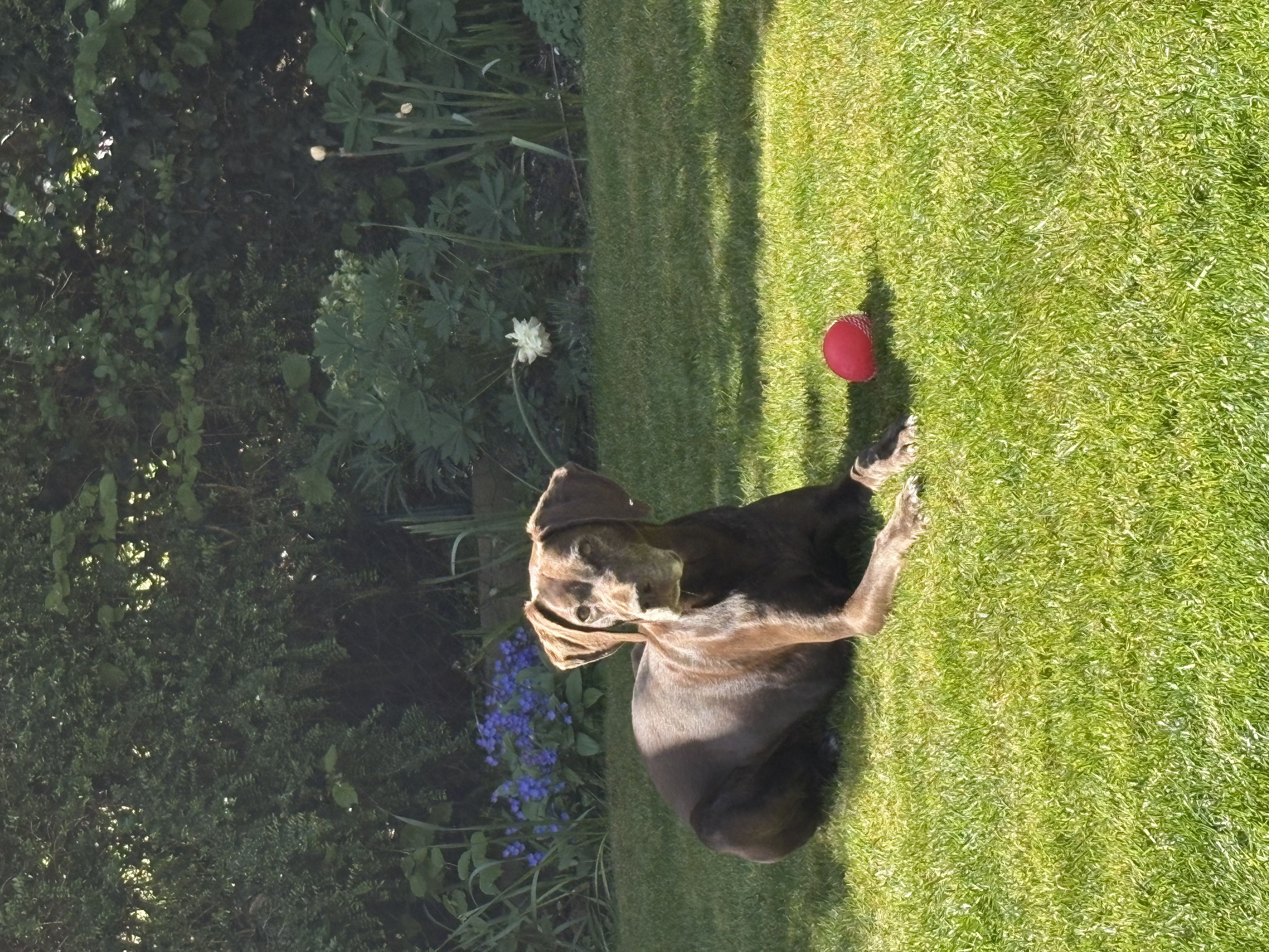 image-7