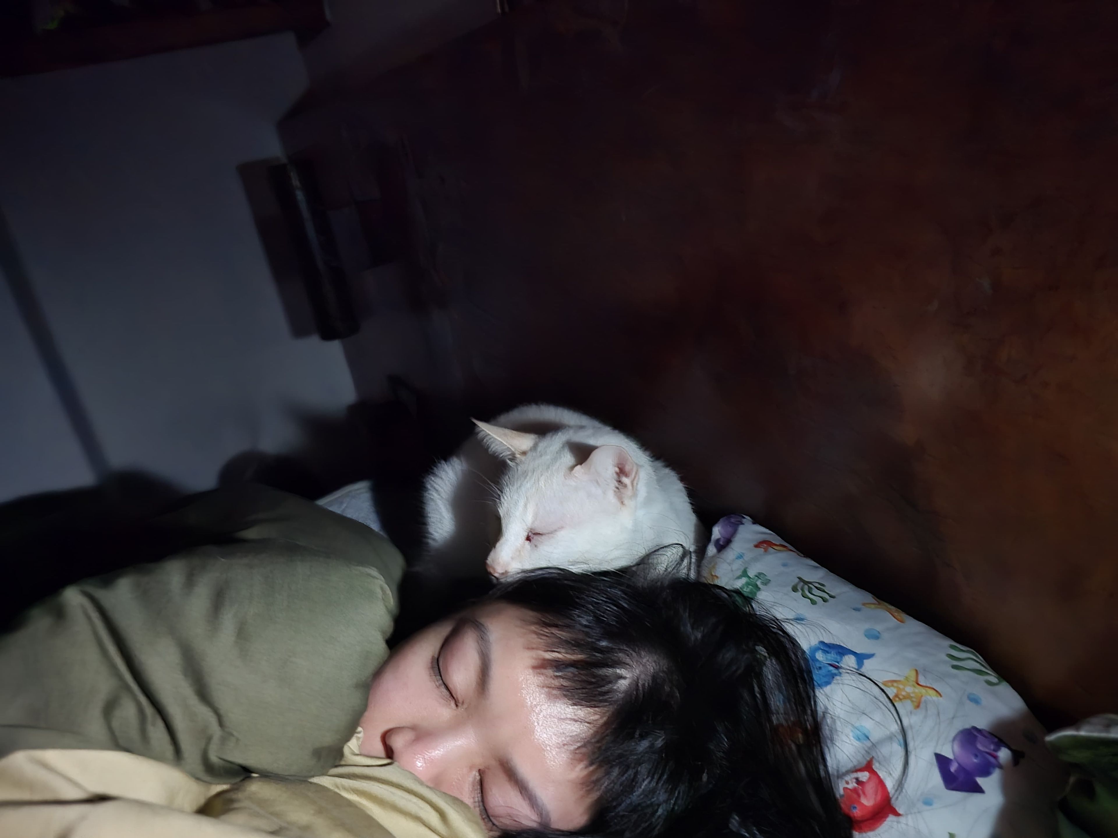 image-10
