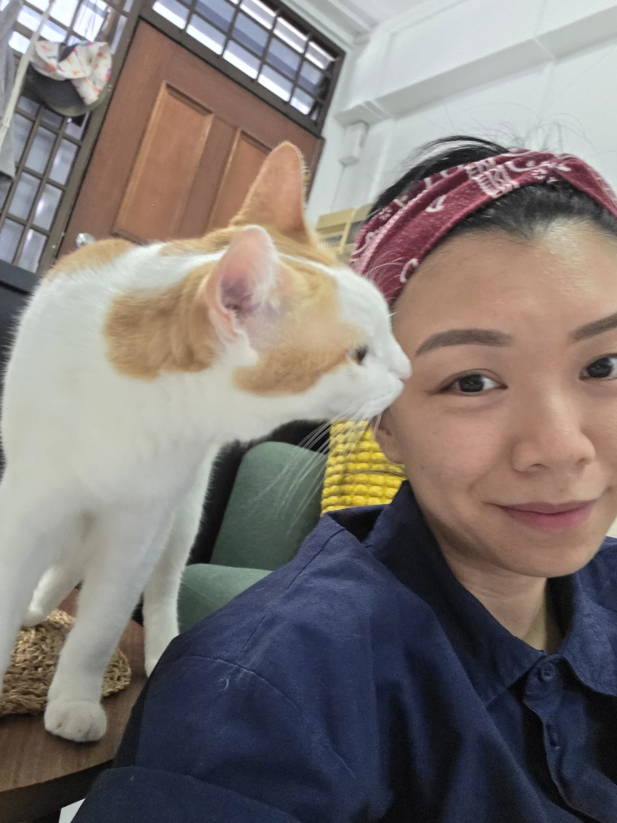 image-6
