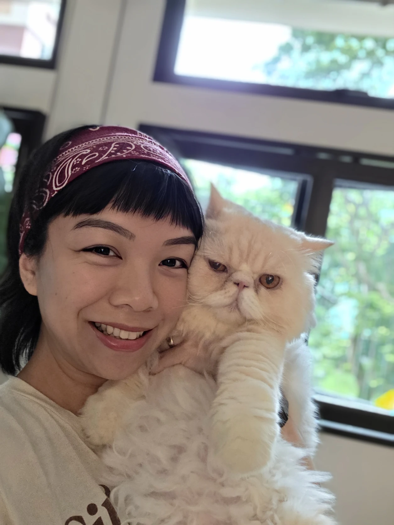 image-7