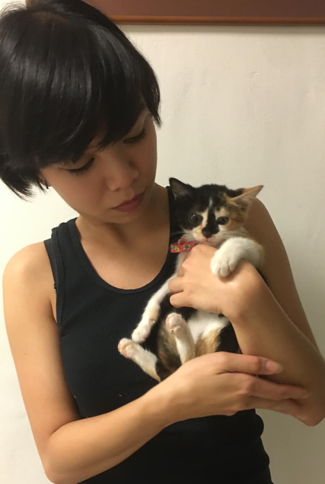 image-8