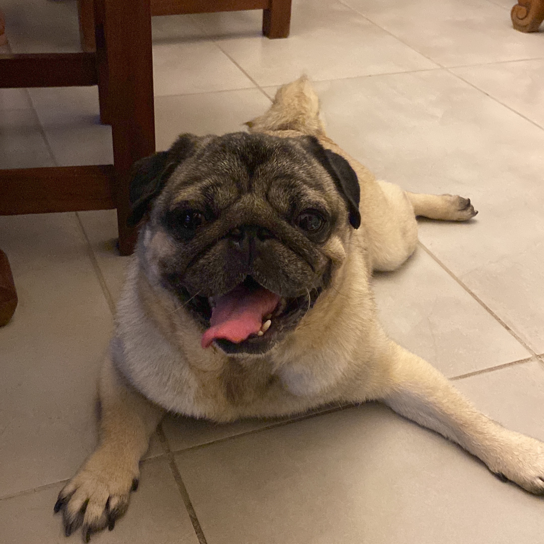 Bartolo 