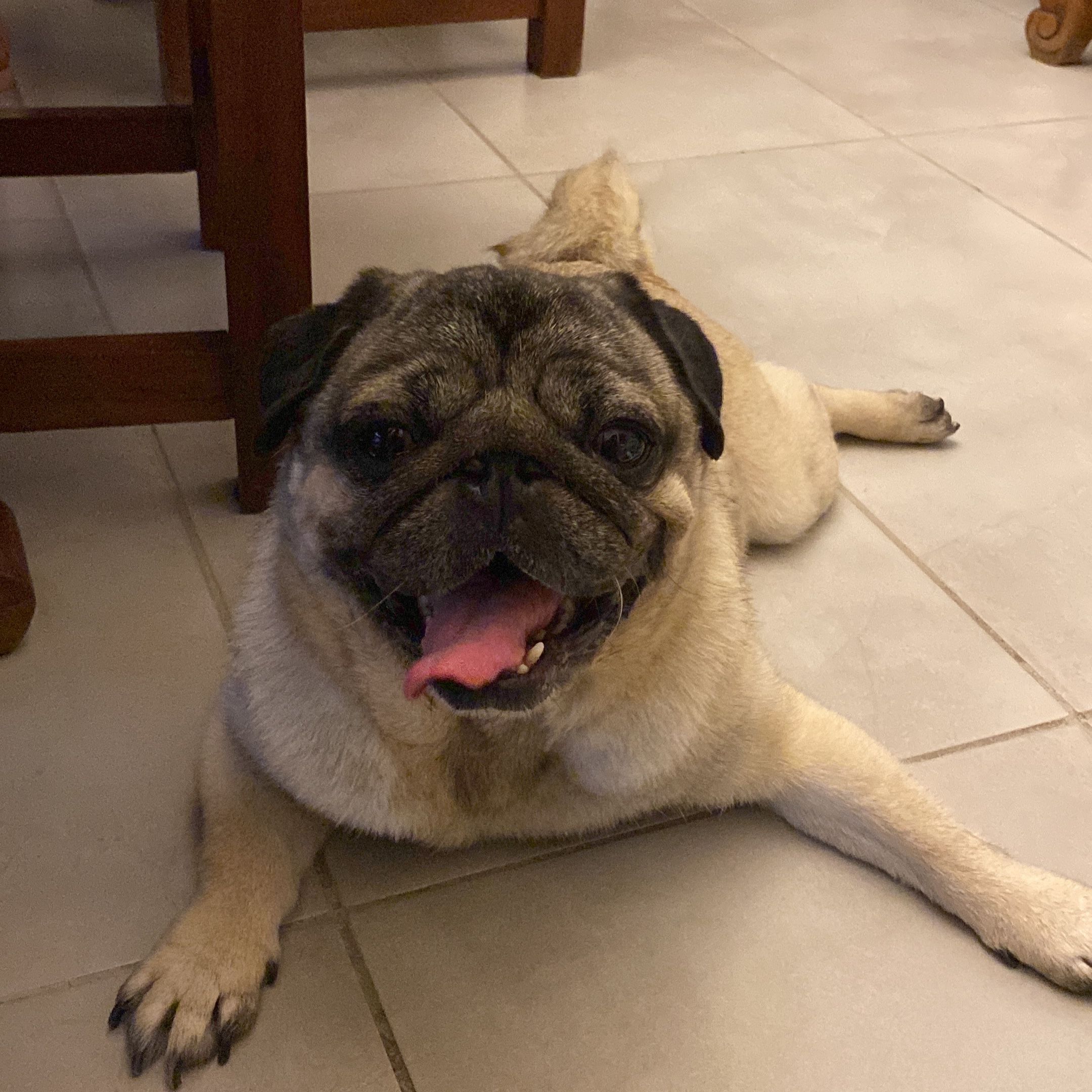 Bartolo