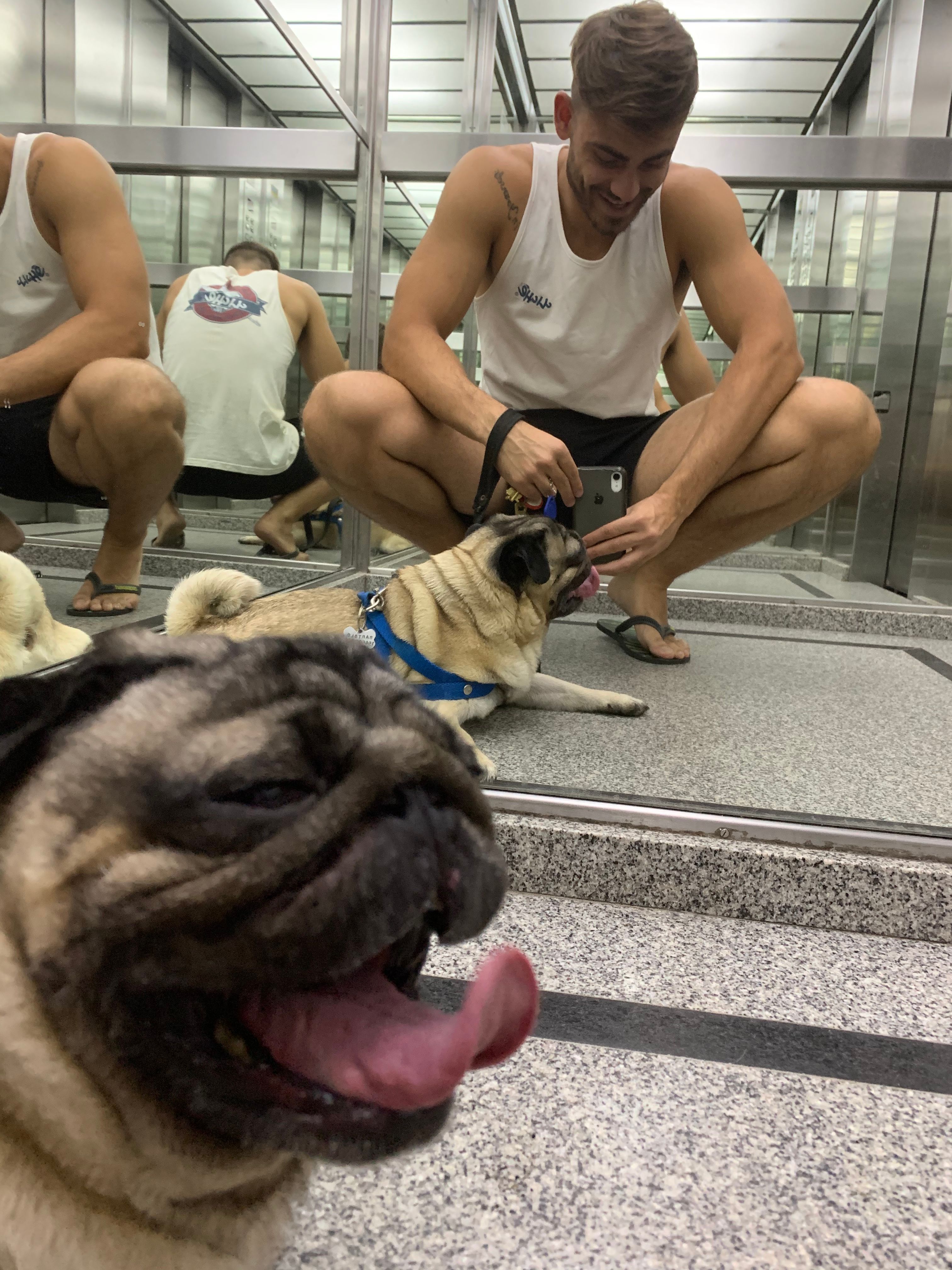 image-3