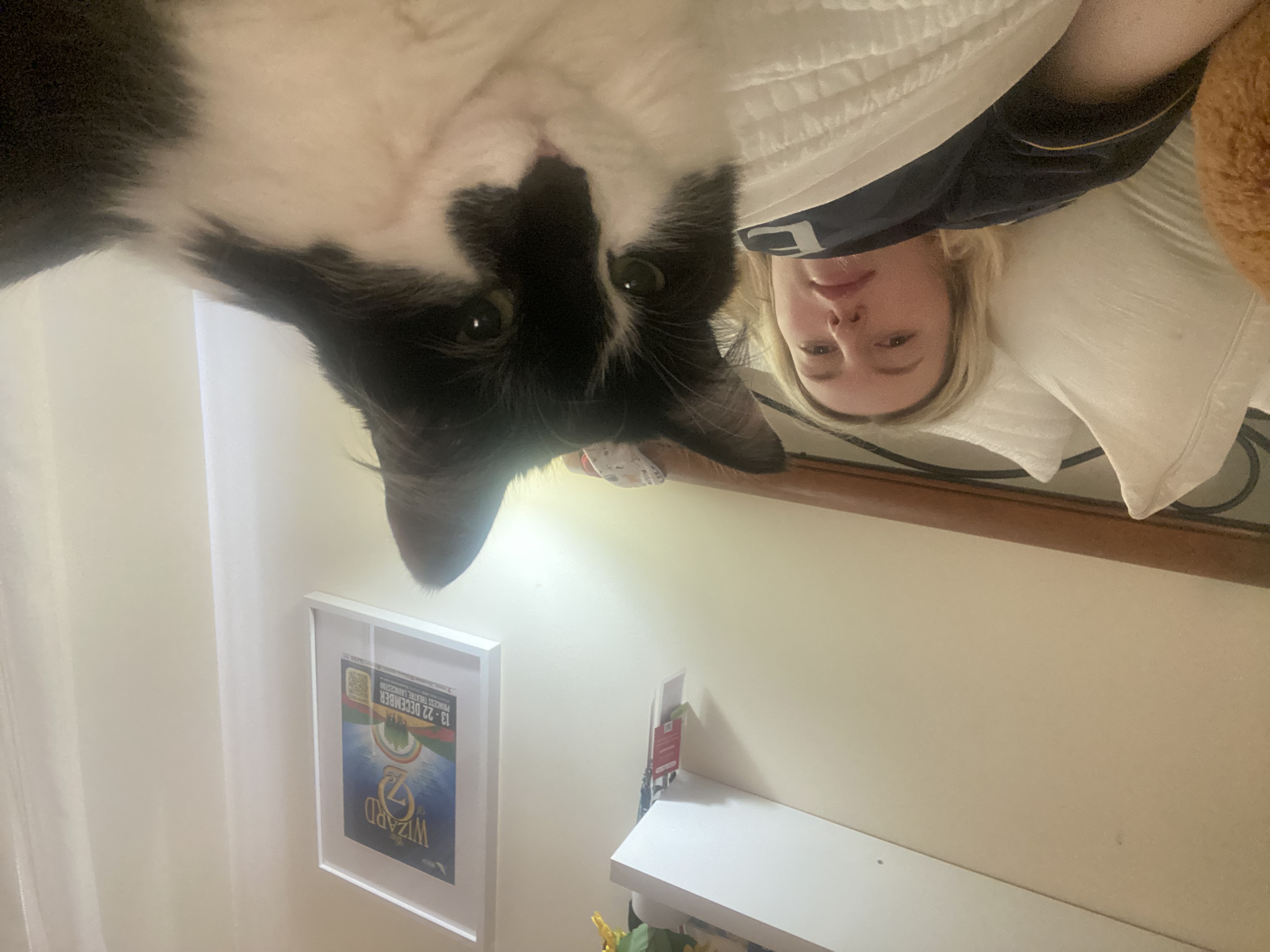 image-7