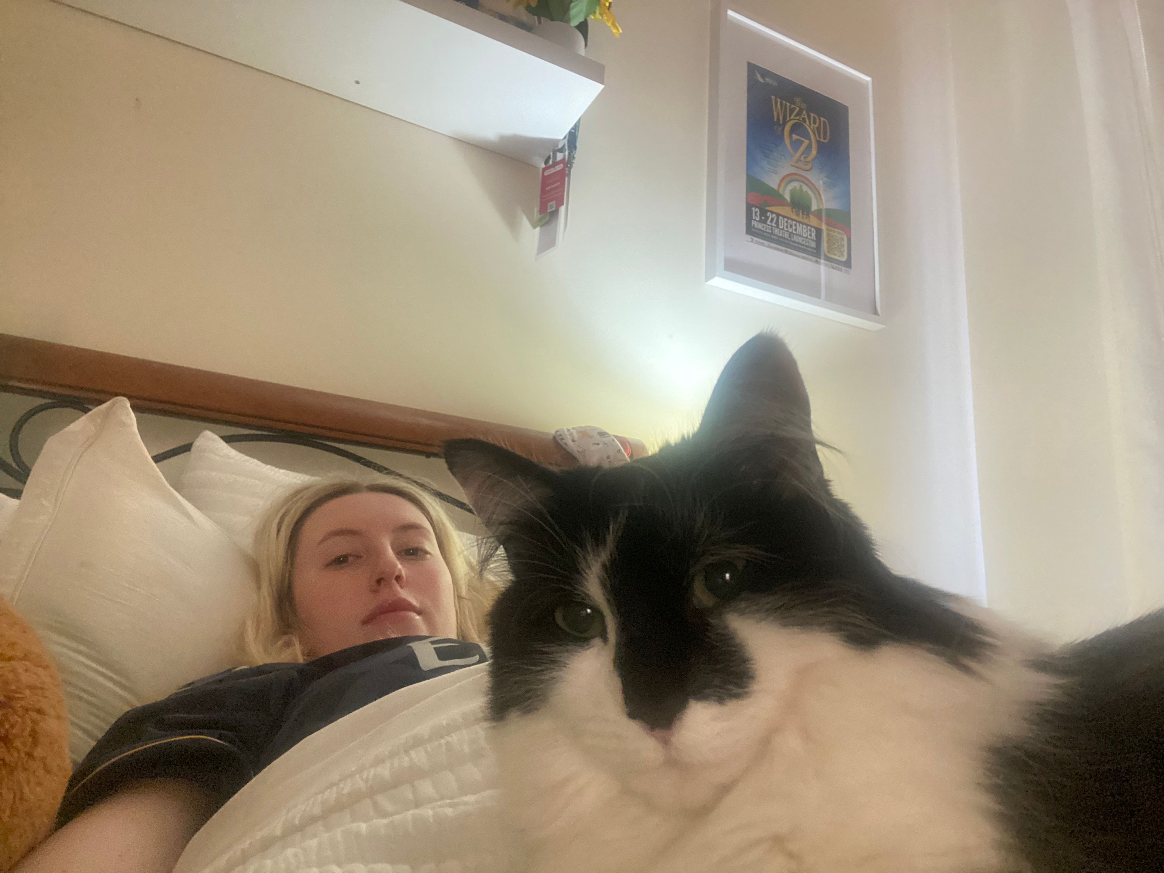 image-7