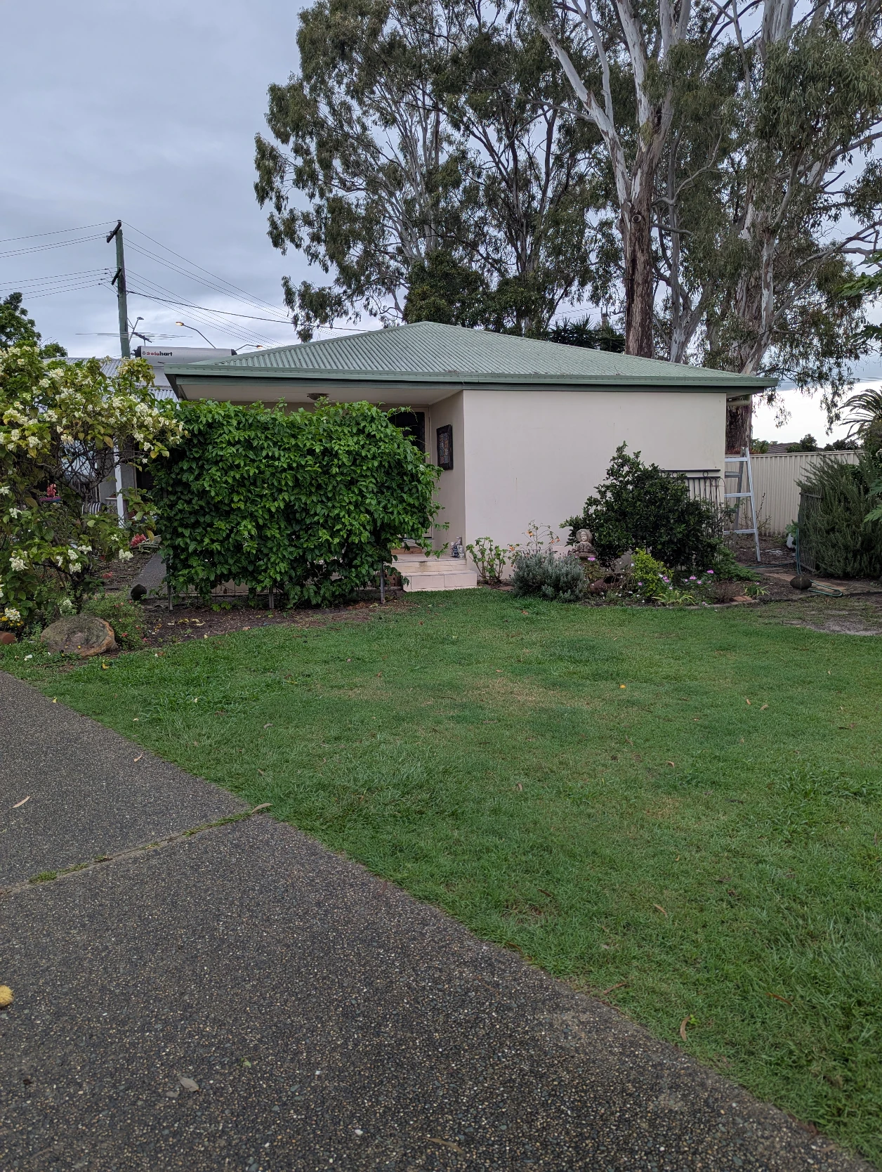 image-7