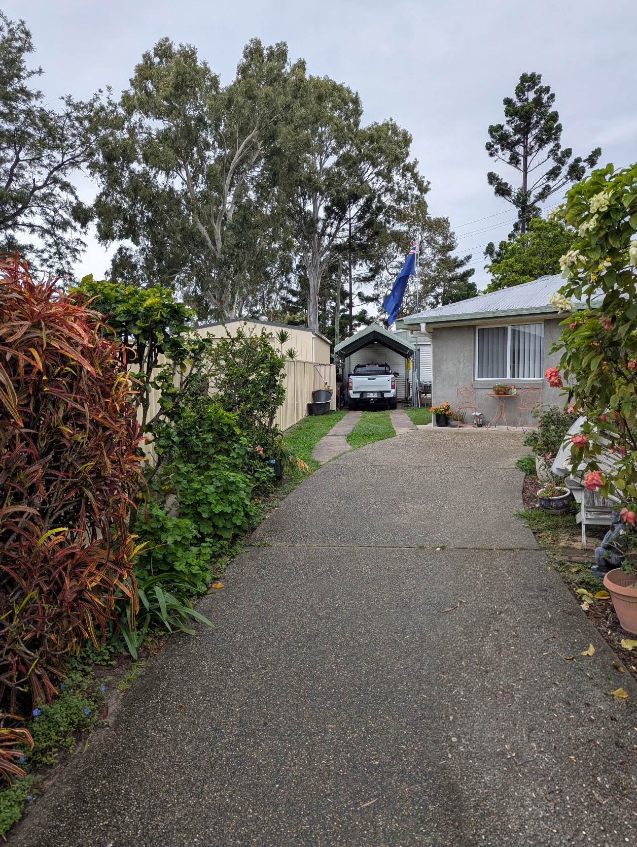 image-11
