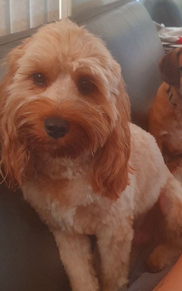 Charlie