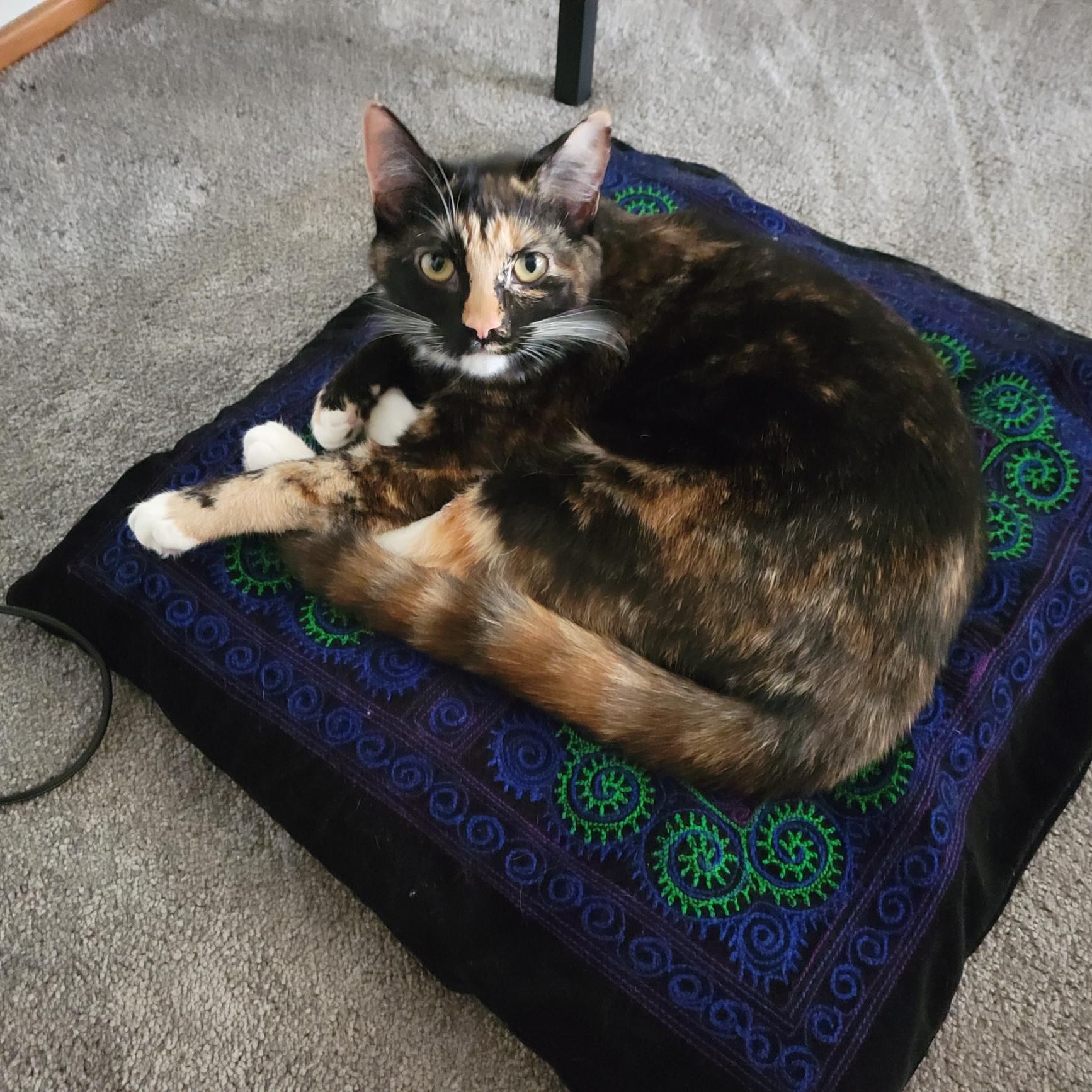 Ember